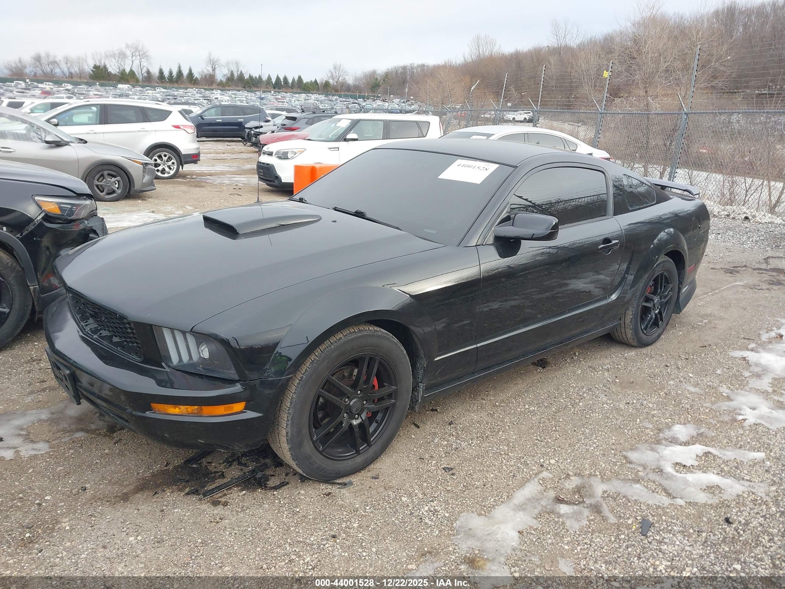FORD MUSTANG image 2