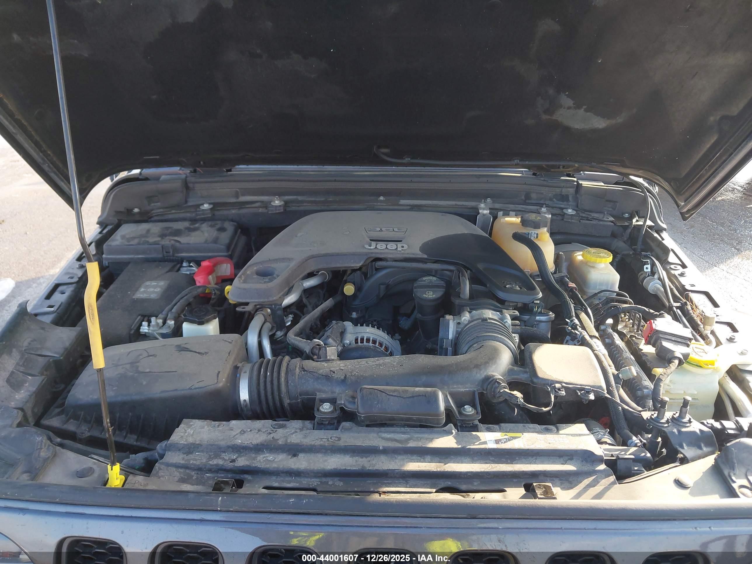 JEEP WRANGLER image 10