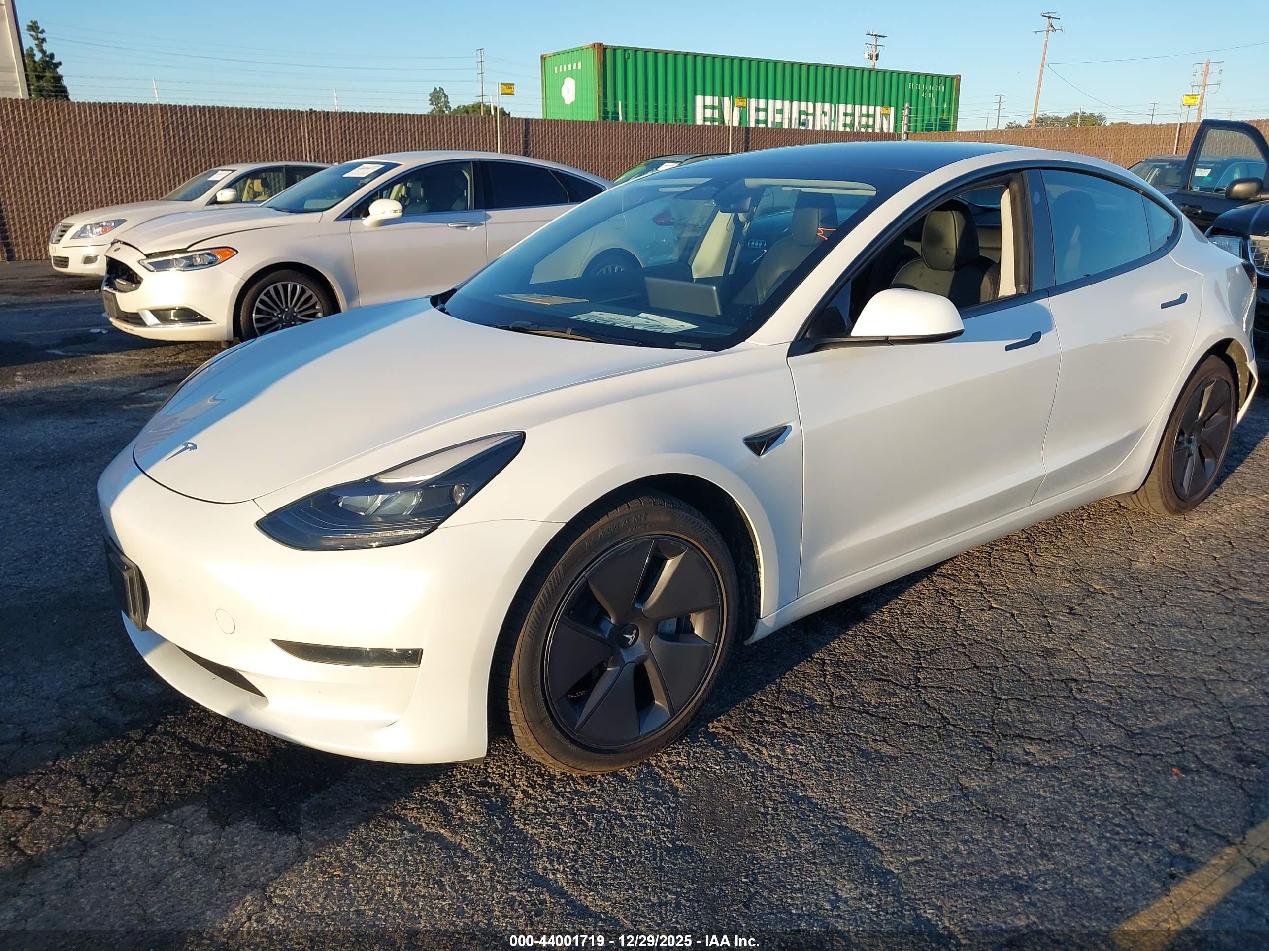 TESLA MODEL image 2