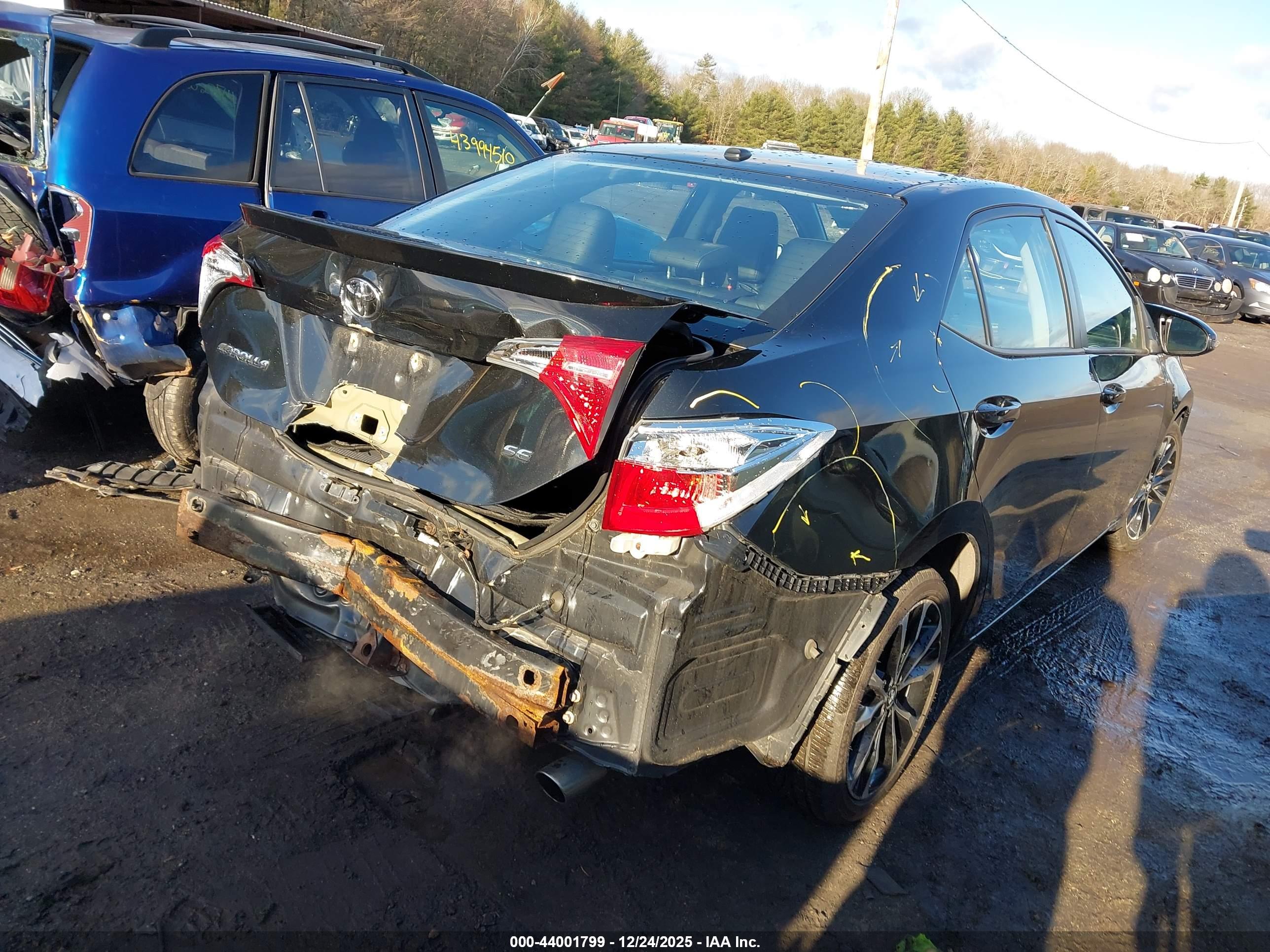 TOYOTA COROLLA image 4