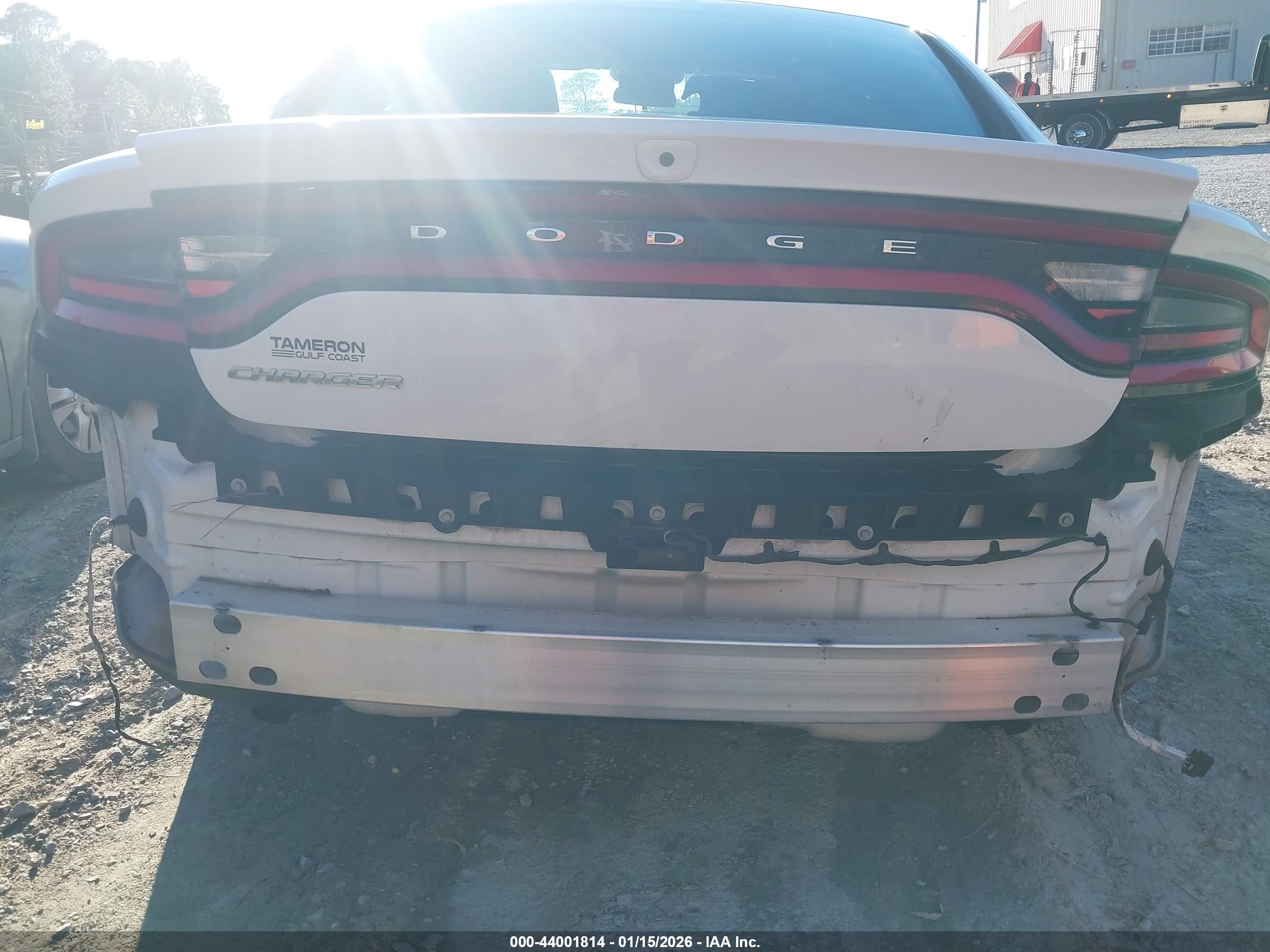 DODGE CHARGER image 6