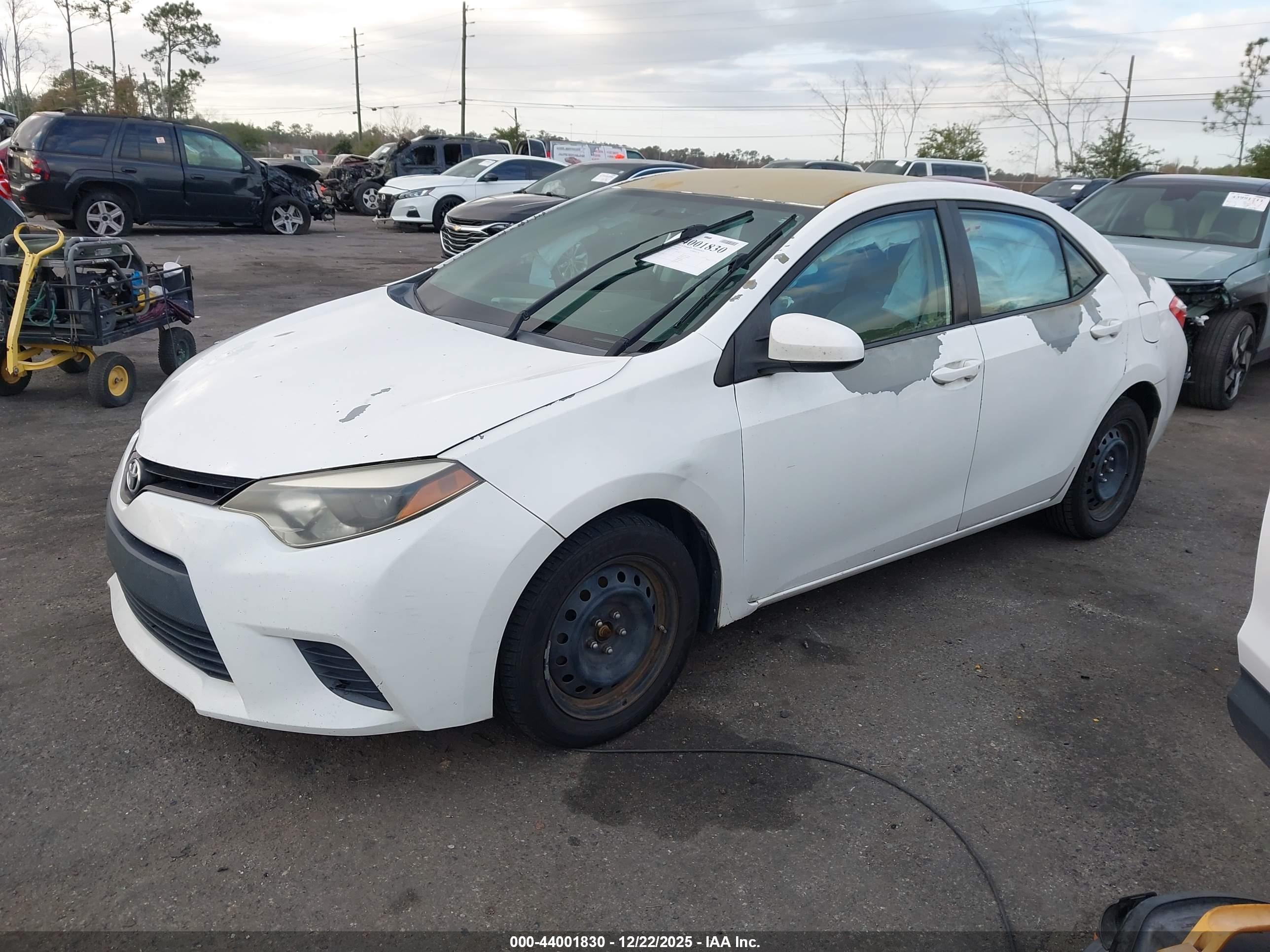 TOYOTA COROLLA image 2