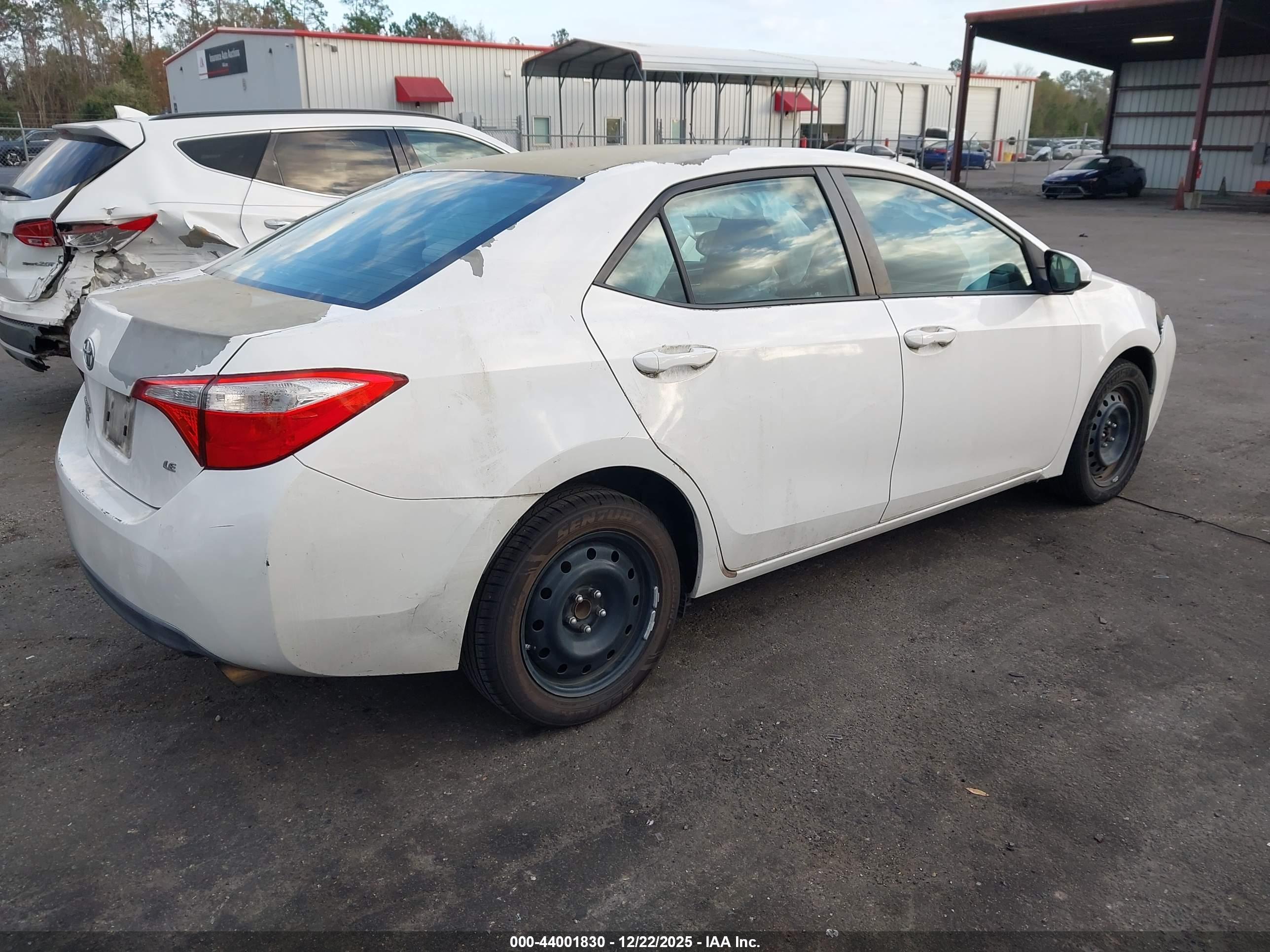 TOYOTA COROLLA image 4