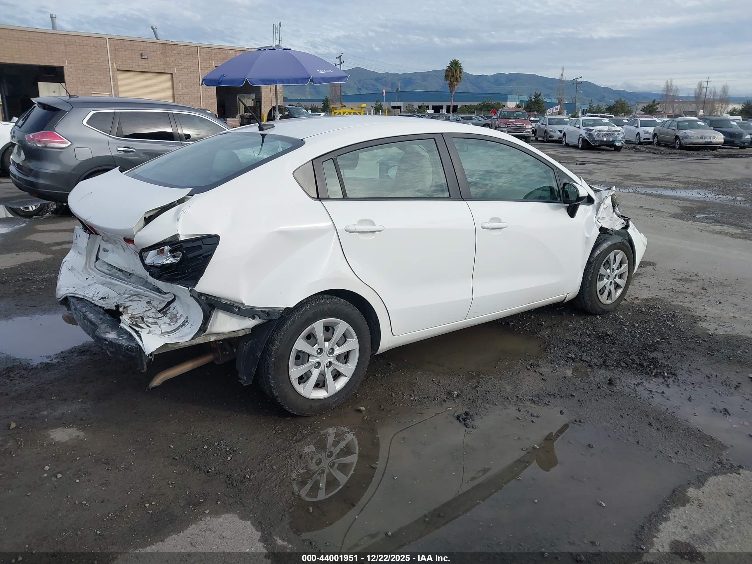 KIA RIO image 4