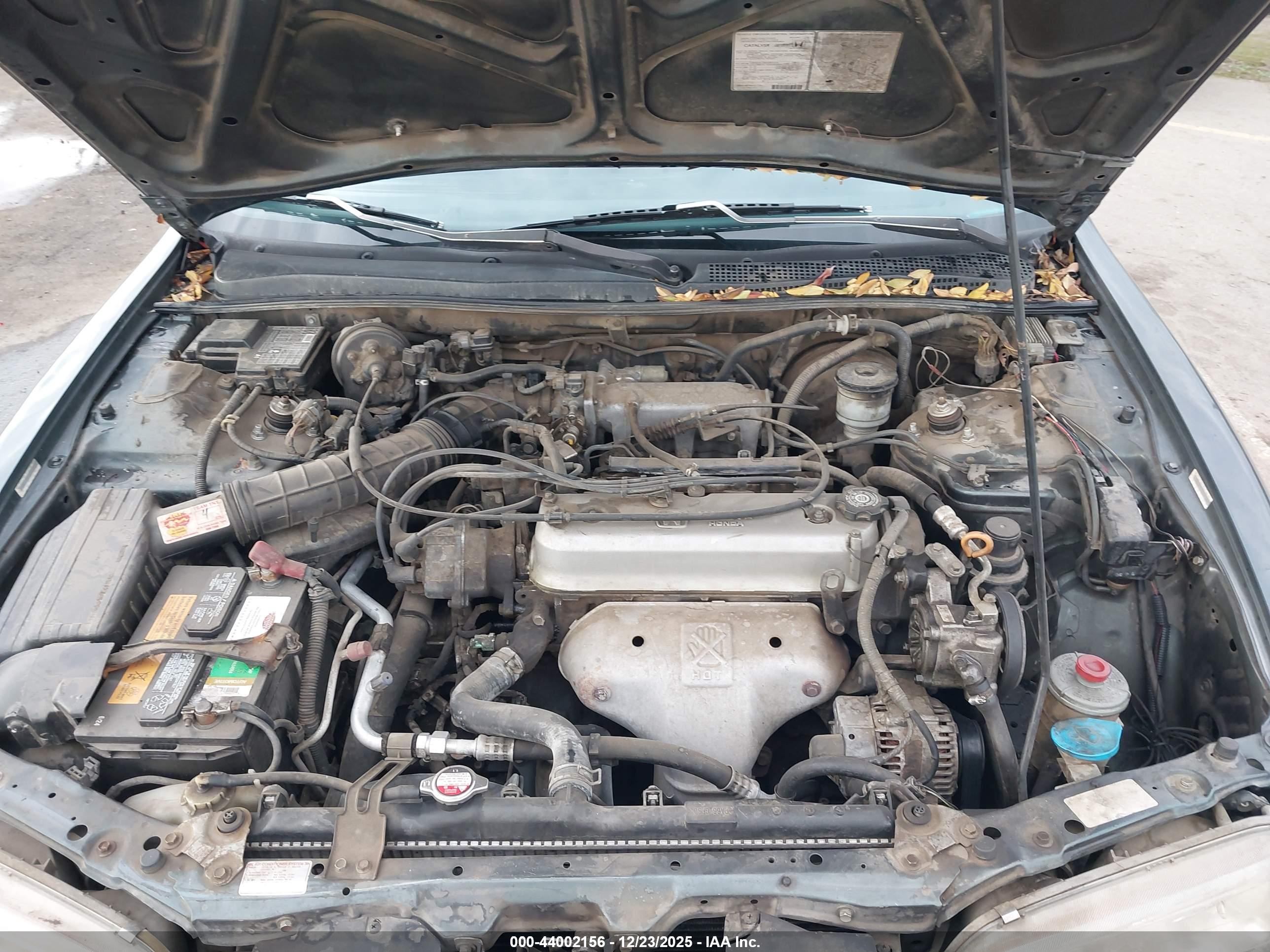HONDA ACCORD image 10