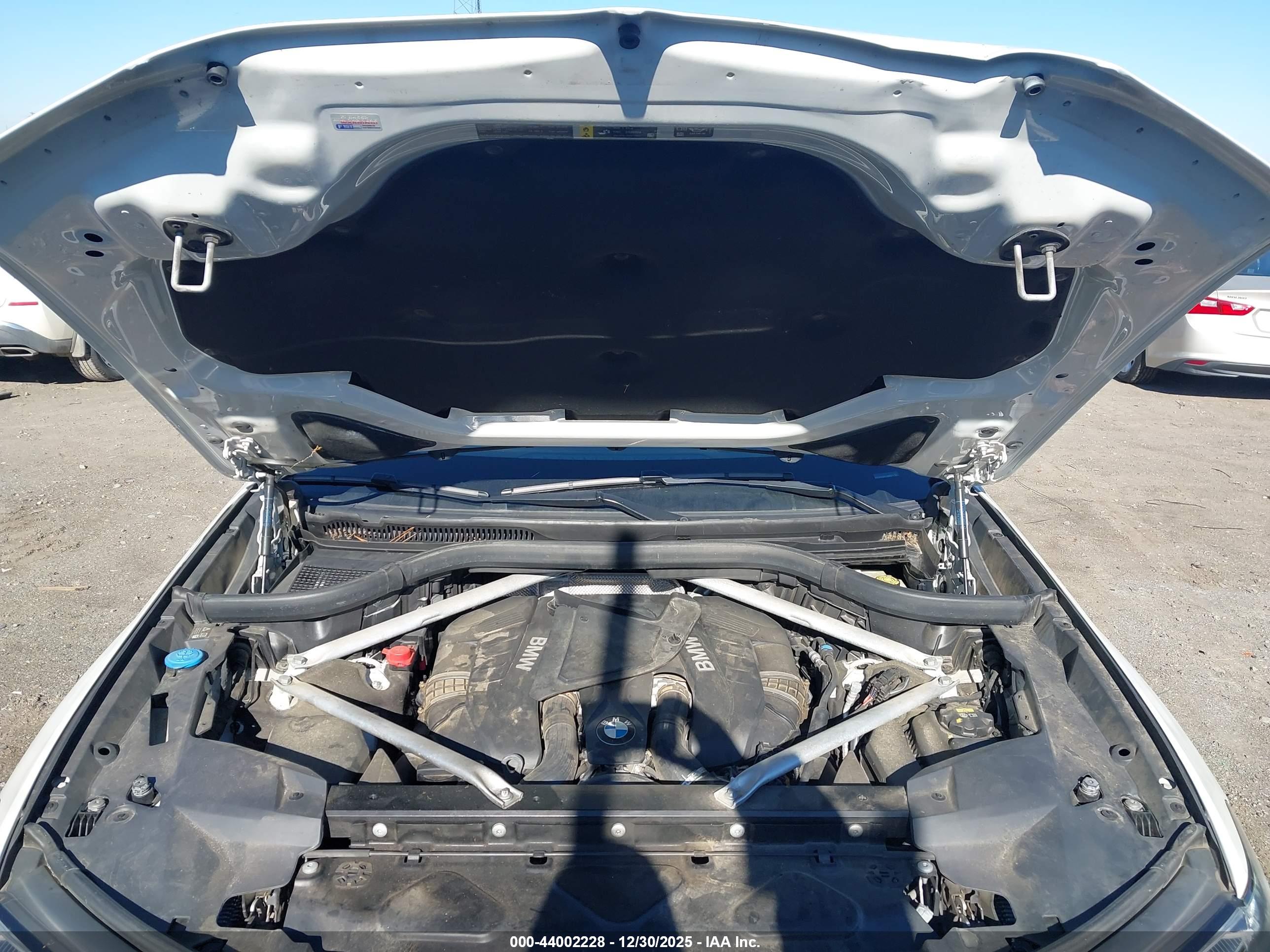 BMW X7 image 10
