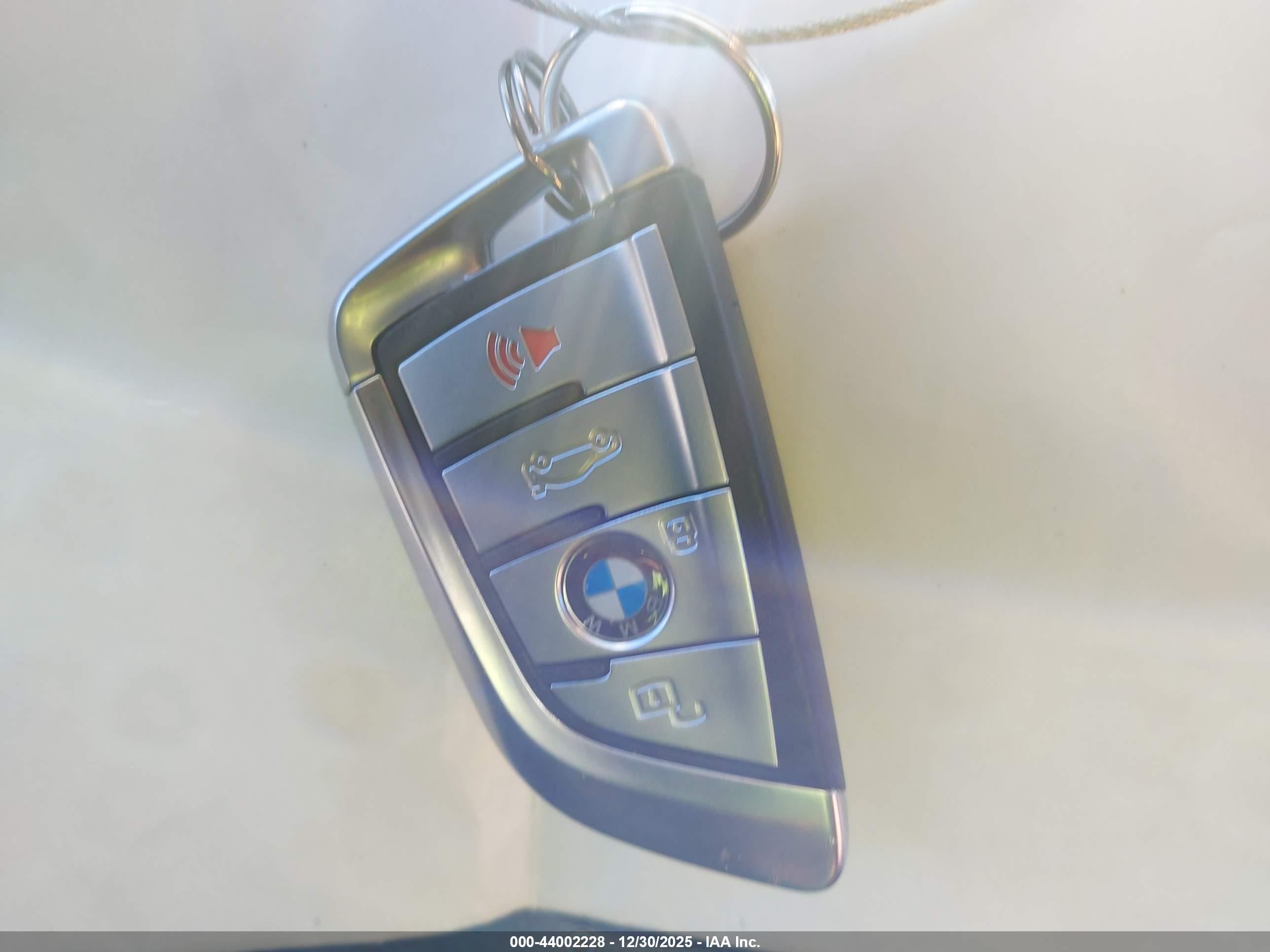 BMW X7 image 11