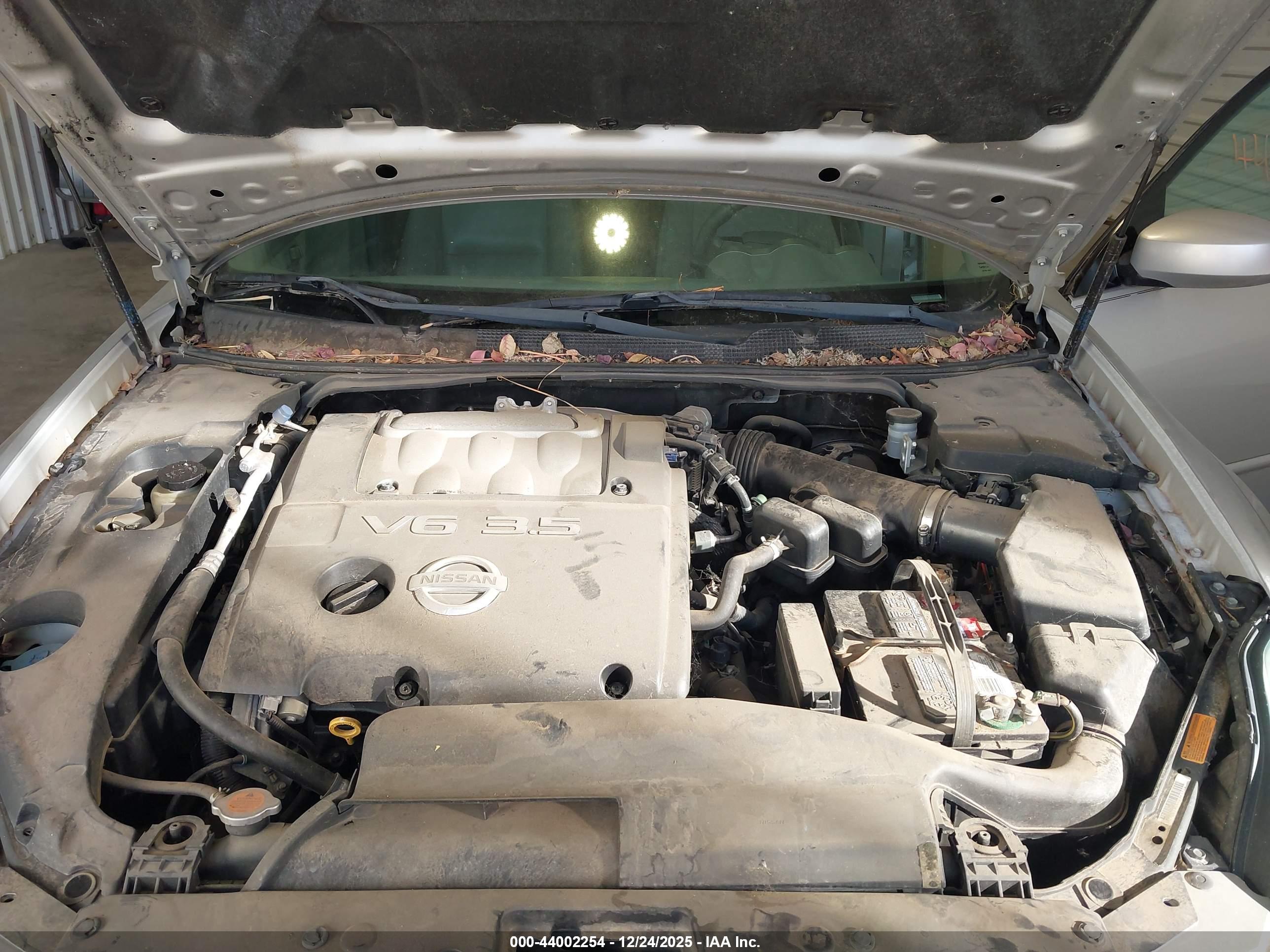 NISSAN MAXIMA image 10