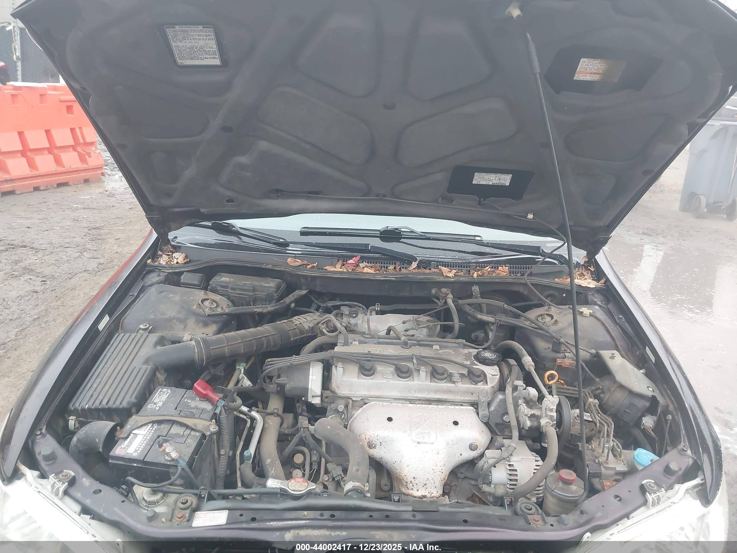 HONDA ACCORD image 10