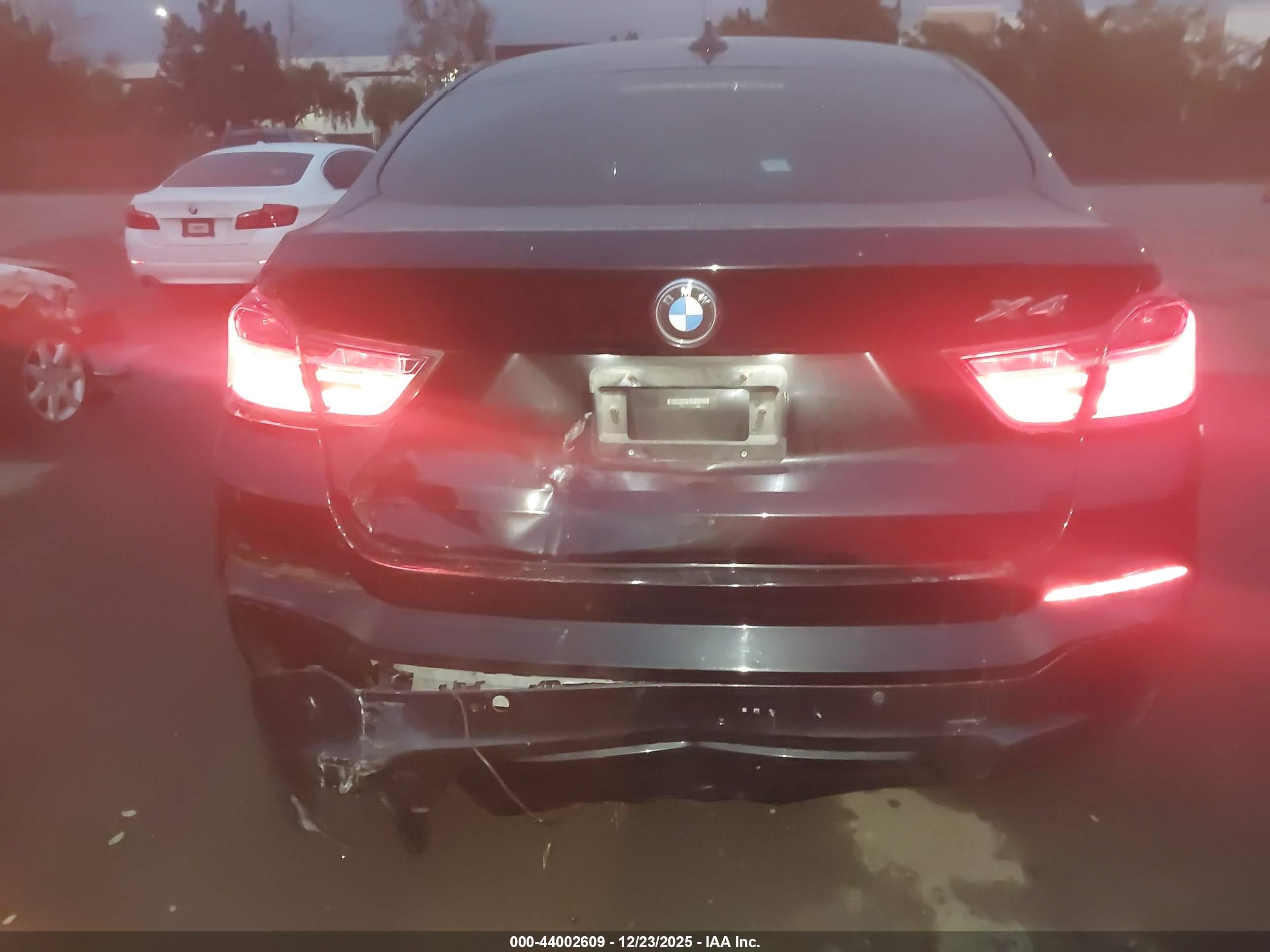BMW X4 image 6
