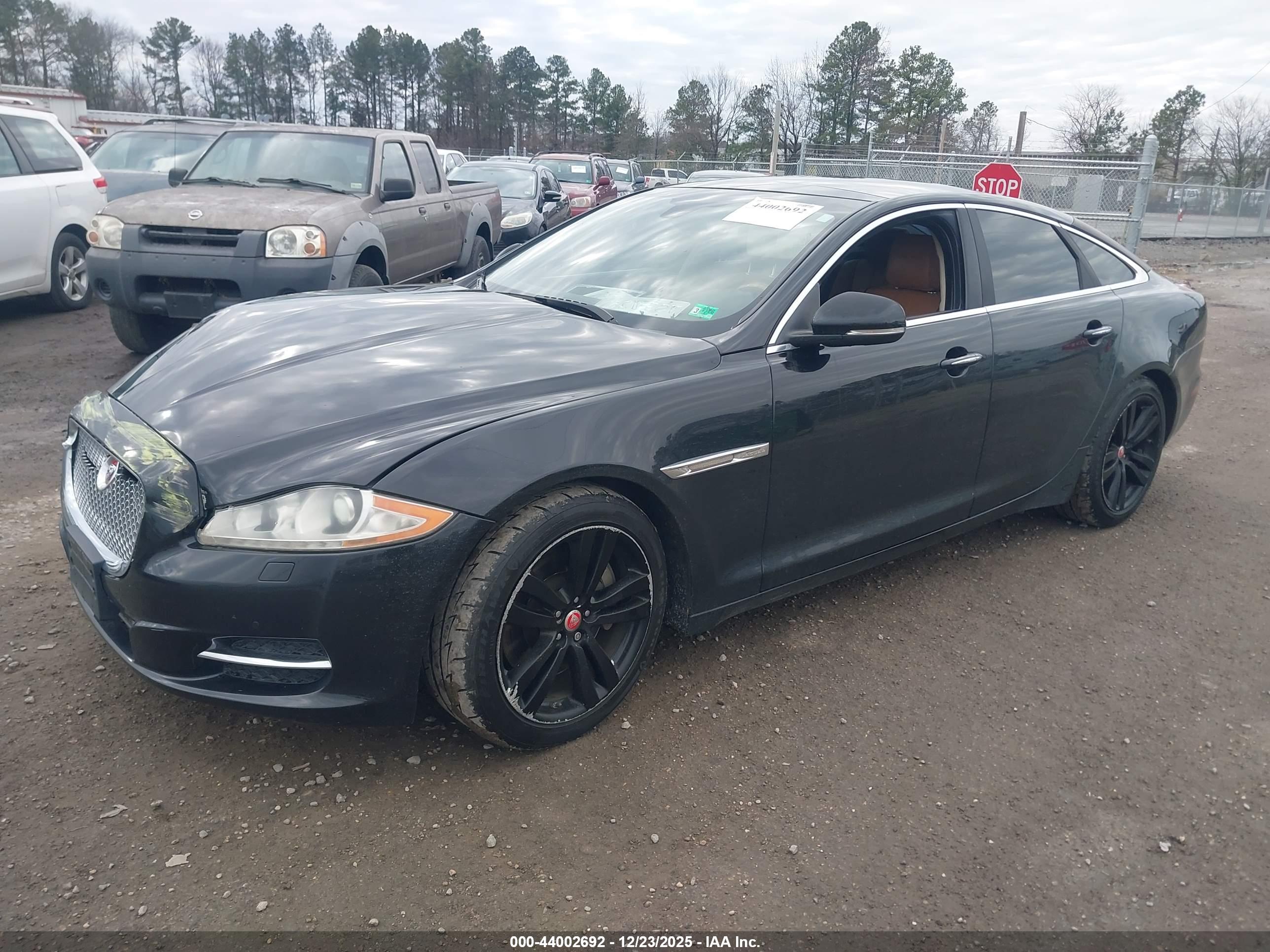 JAGUAR XJ image 2