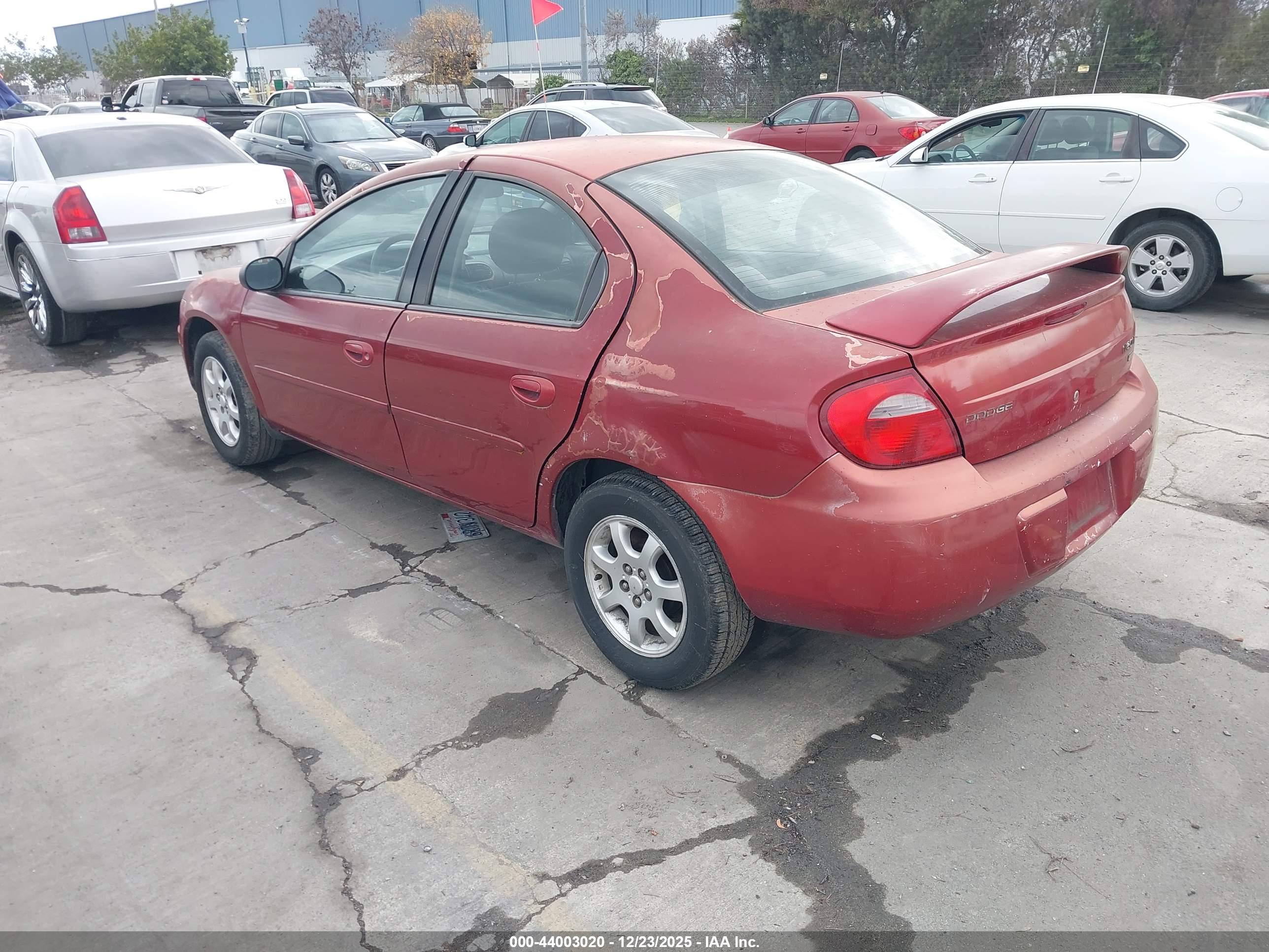 DODGE NEON image 3