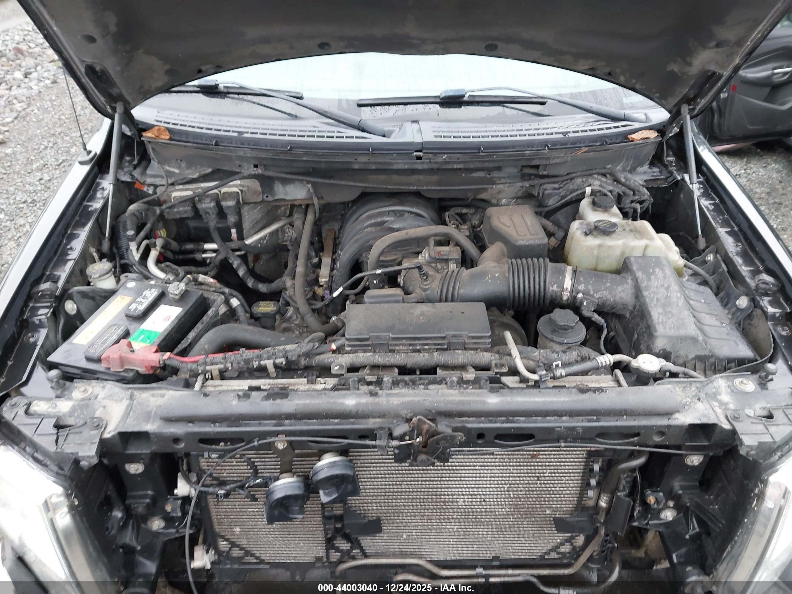 FORD F-150 image 10