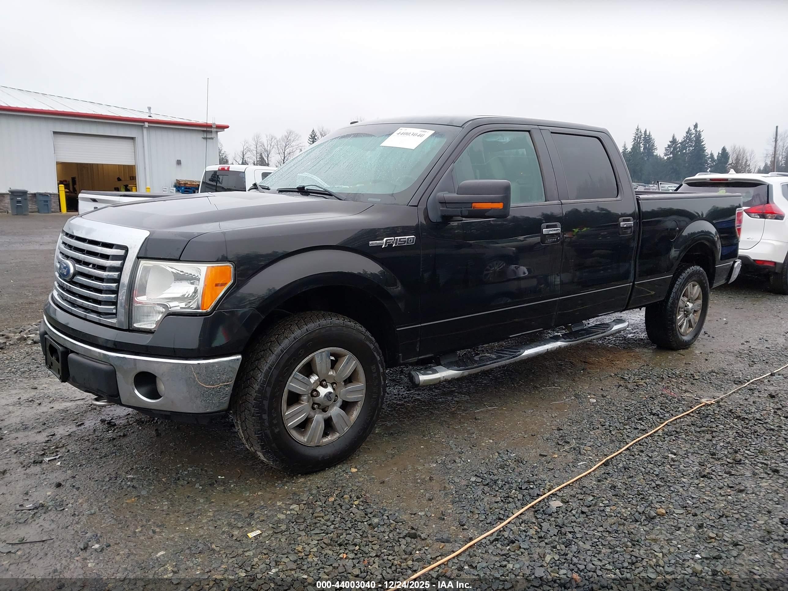 FORD F-150 image 2