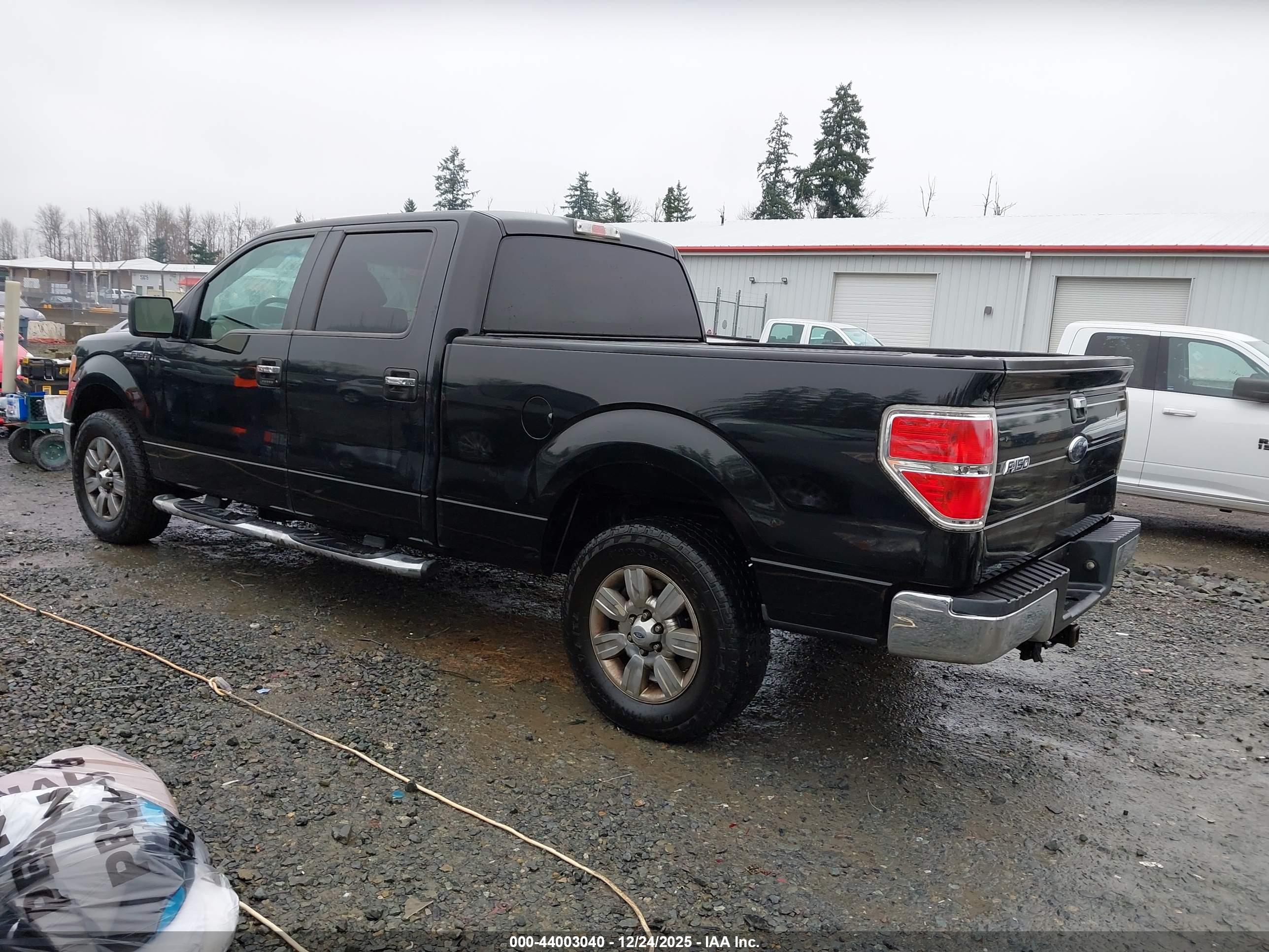 FORD F-150 image 3