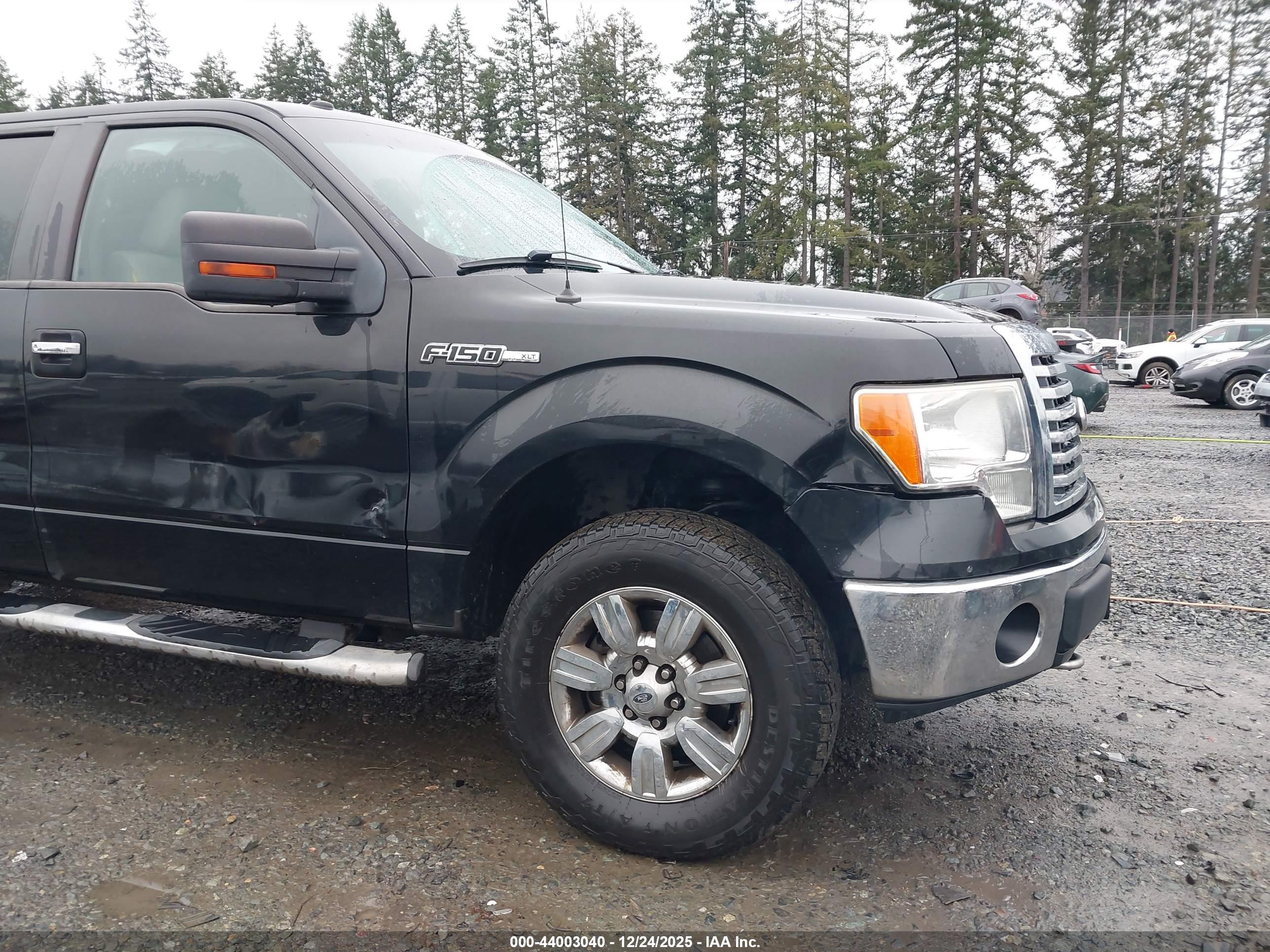 FORD F-150 image 6