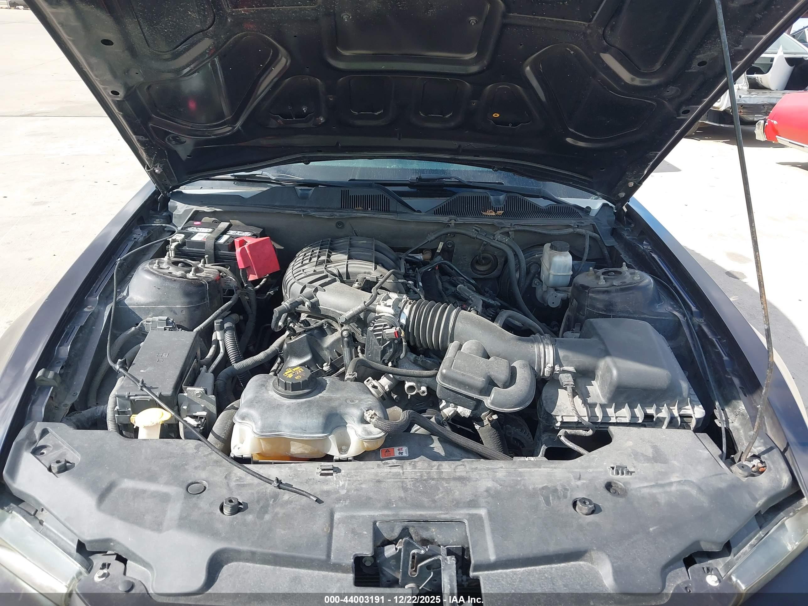 FORD MUSTANG image 10