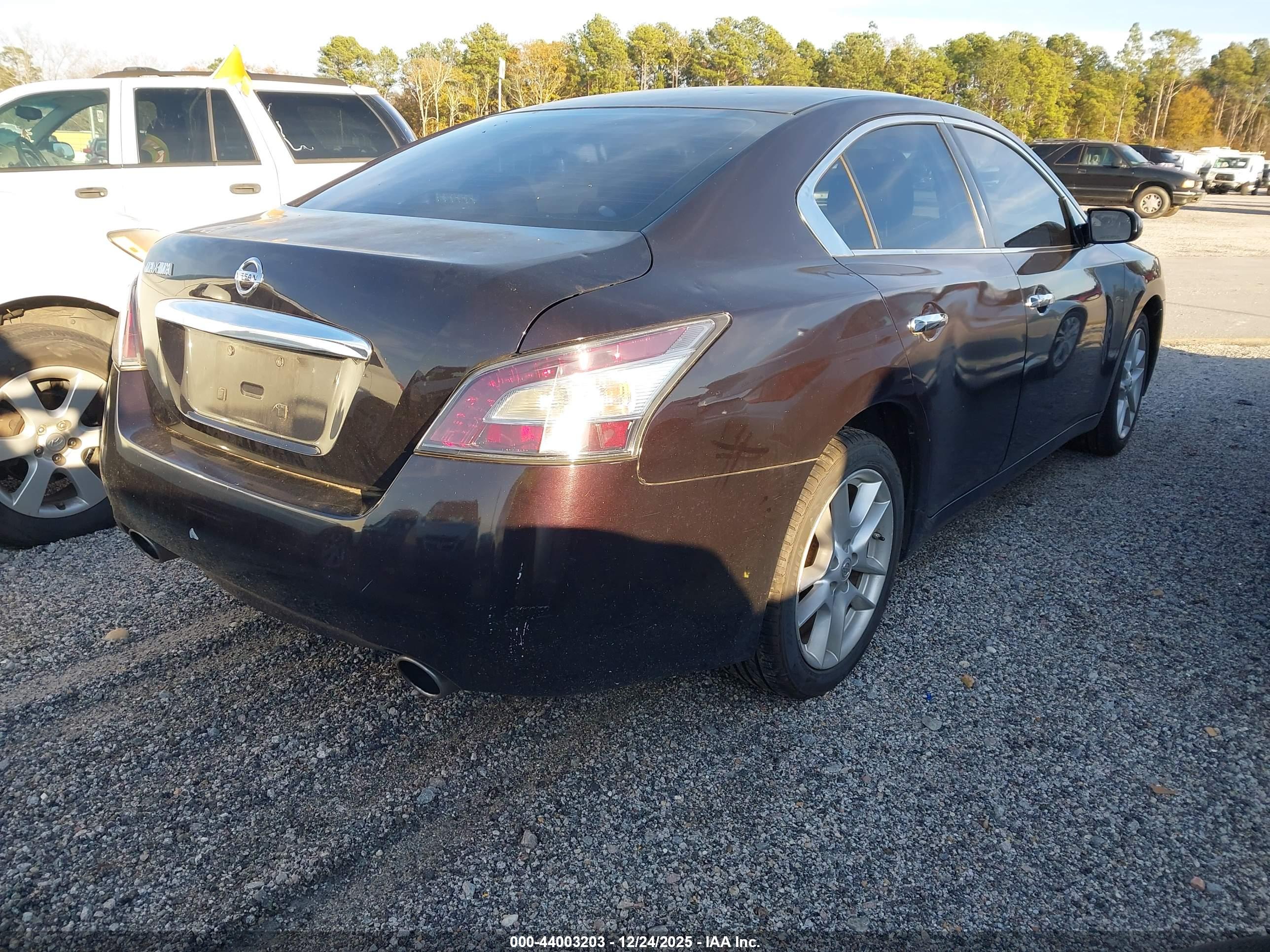 NISSAN MAXIMA image 4