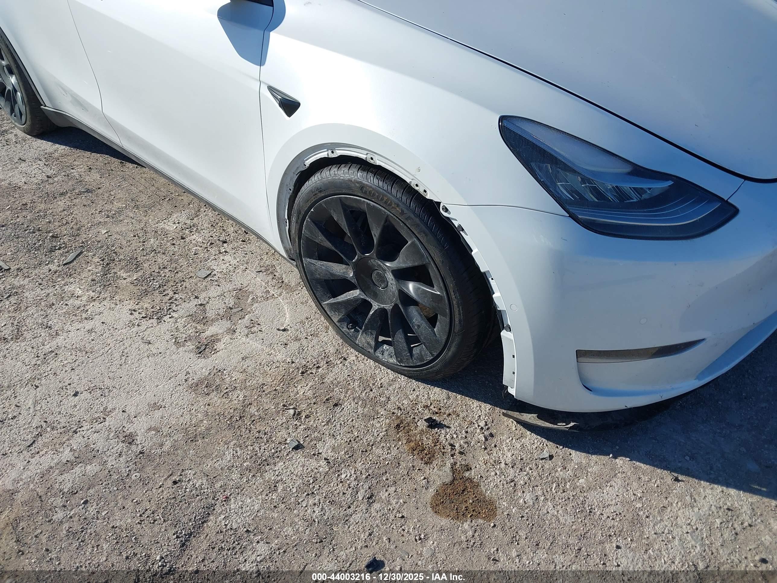 TESLA MODEL image 6