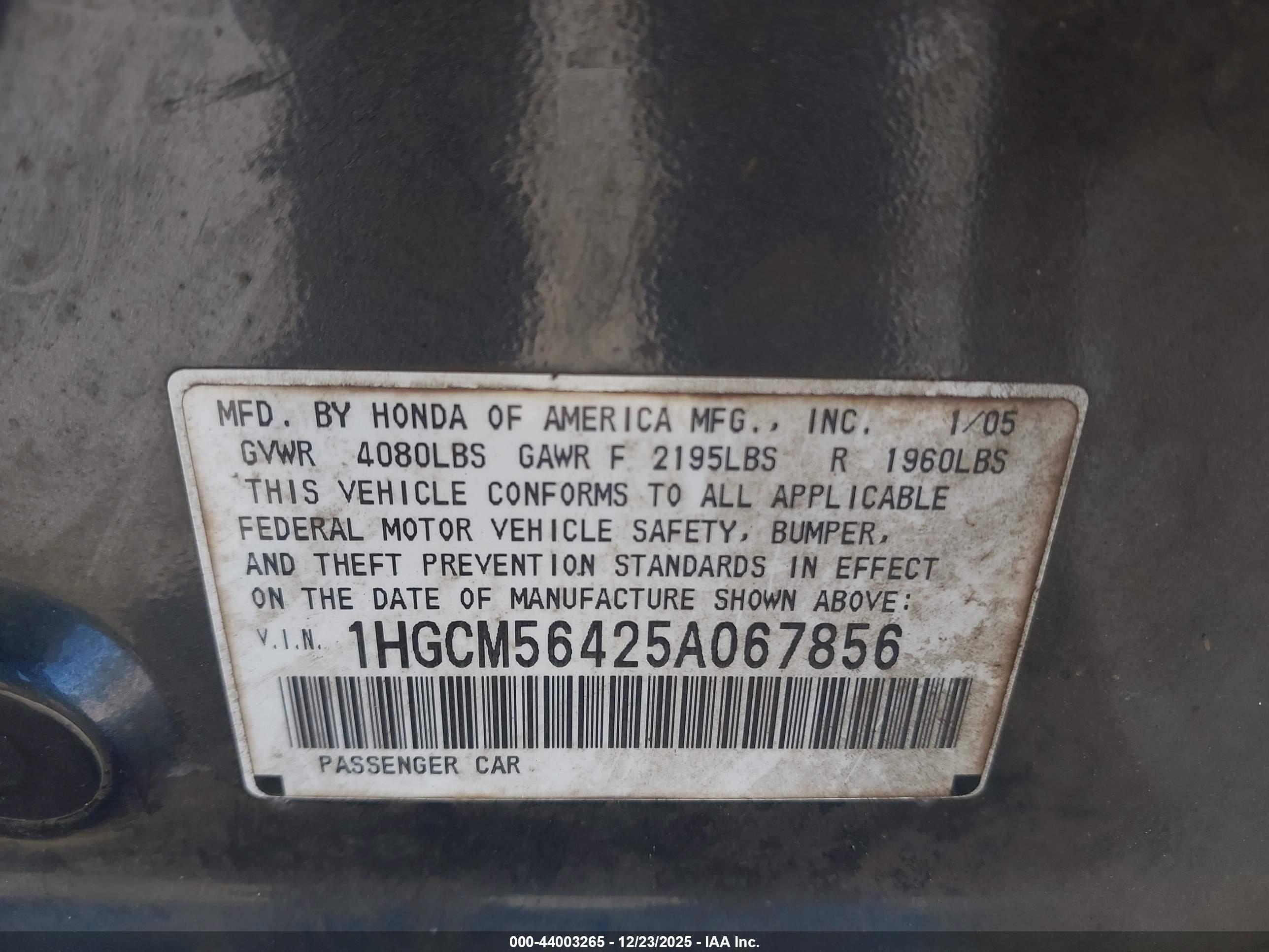 HONDA ACCORD image 9