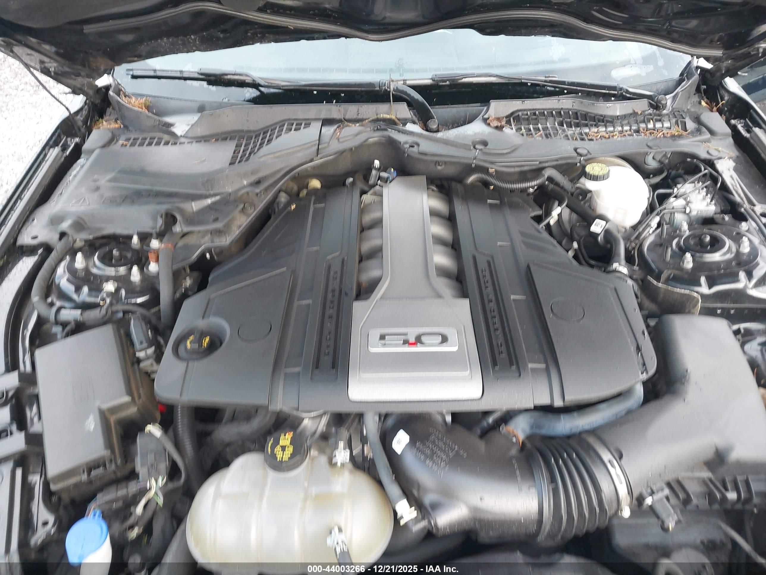 FORD MUSTANG image 10