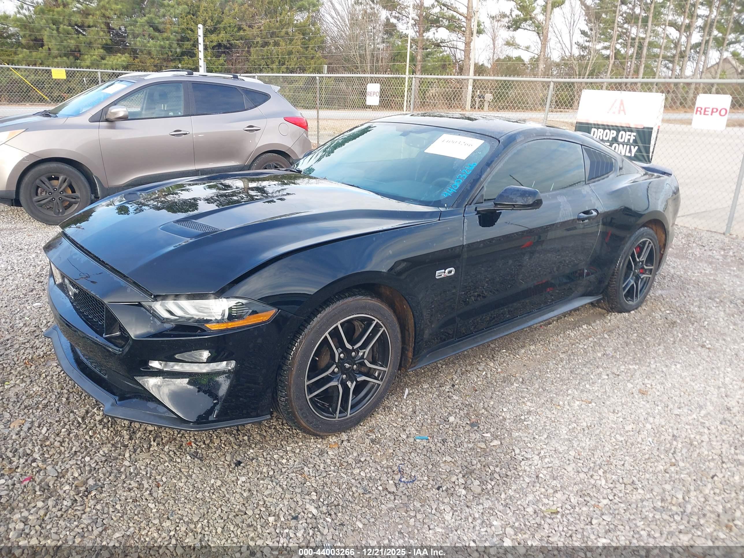 FORD MUSTANG image 2