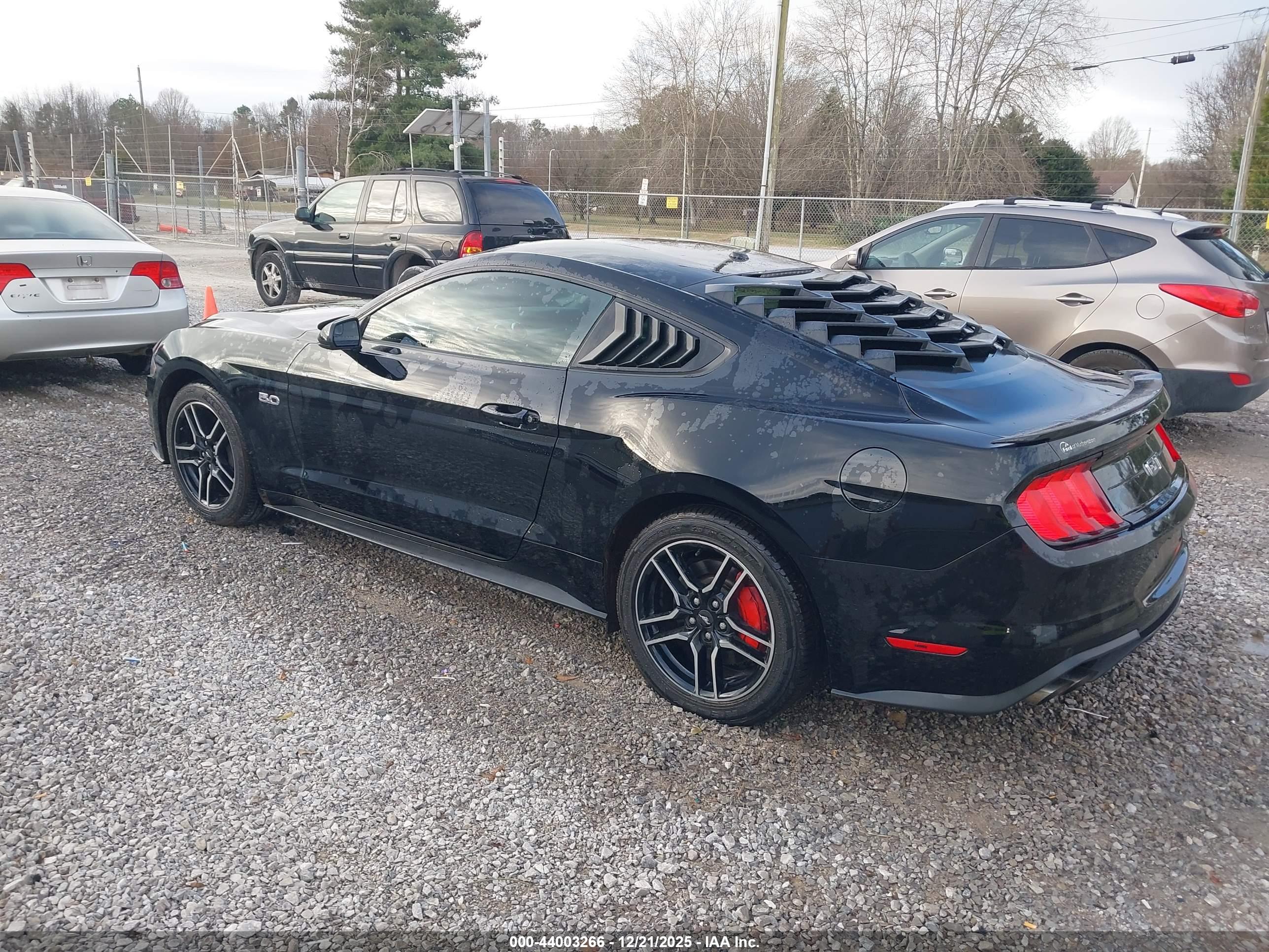 FORD MUSTANG image 3