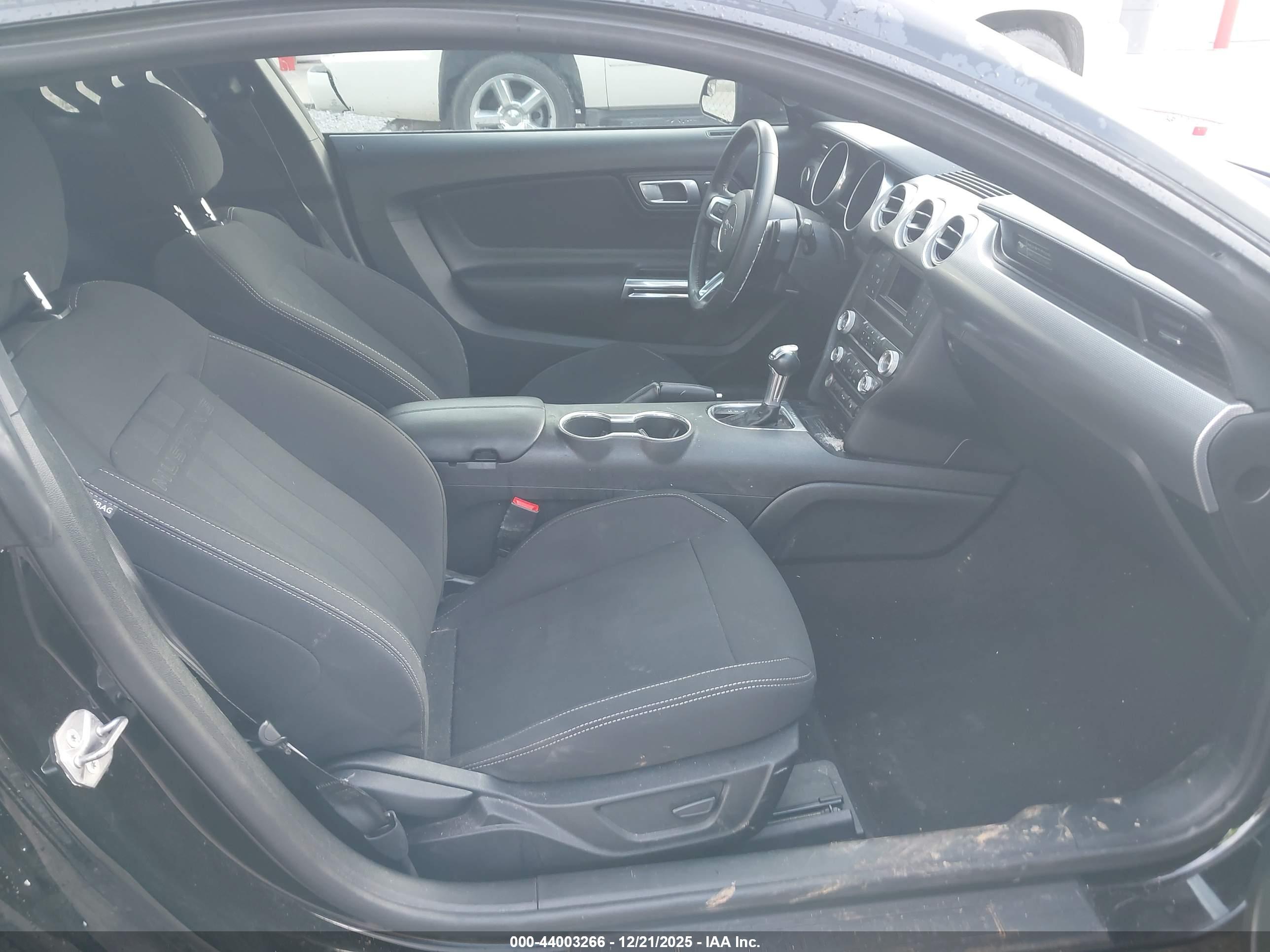 FORD MUSTANG image 5