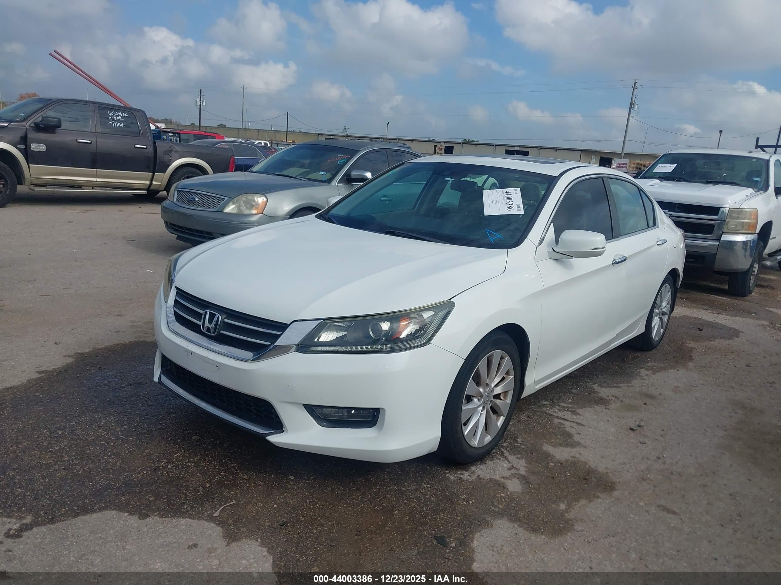 HONDA ACCORD image 2
