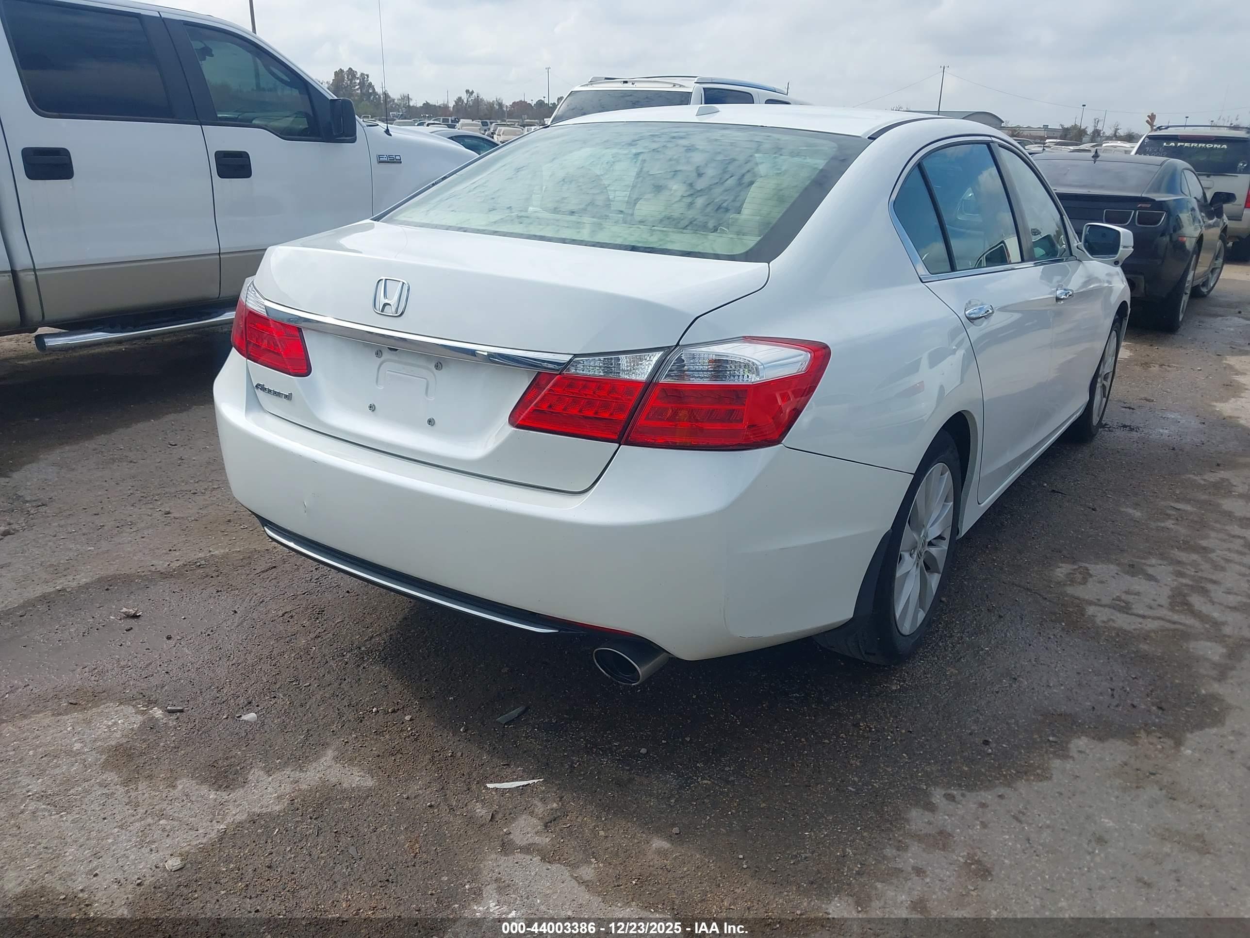 HONDA ACCORD image 4