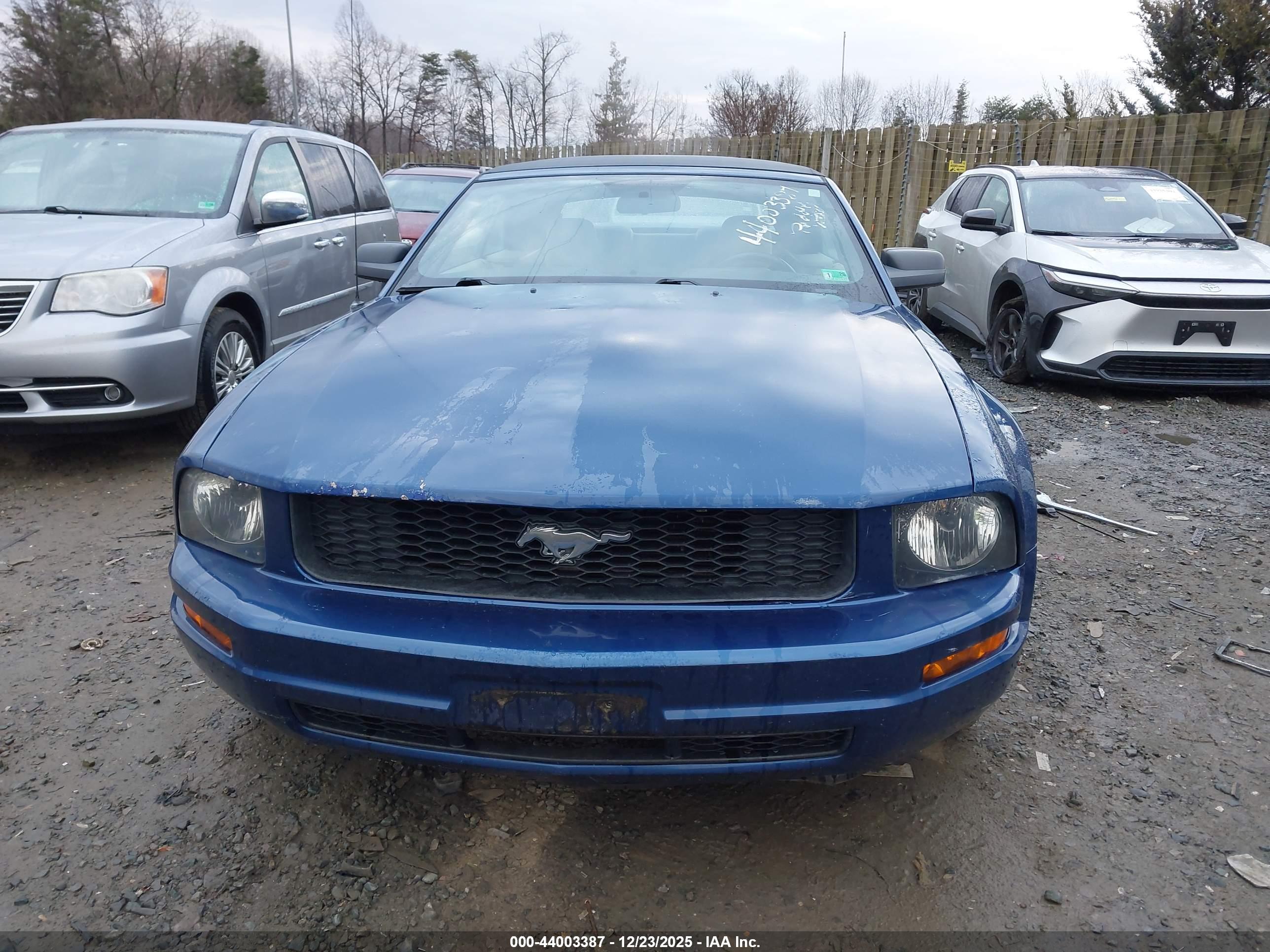 FORD MUSTANG image 6