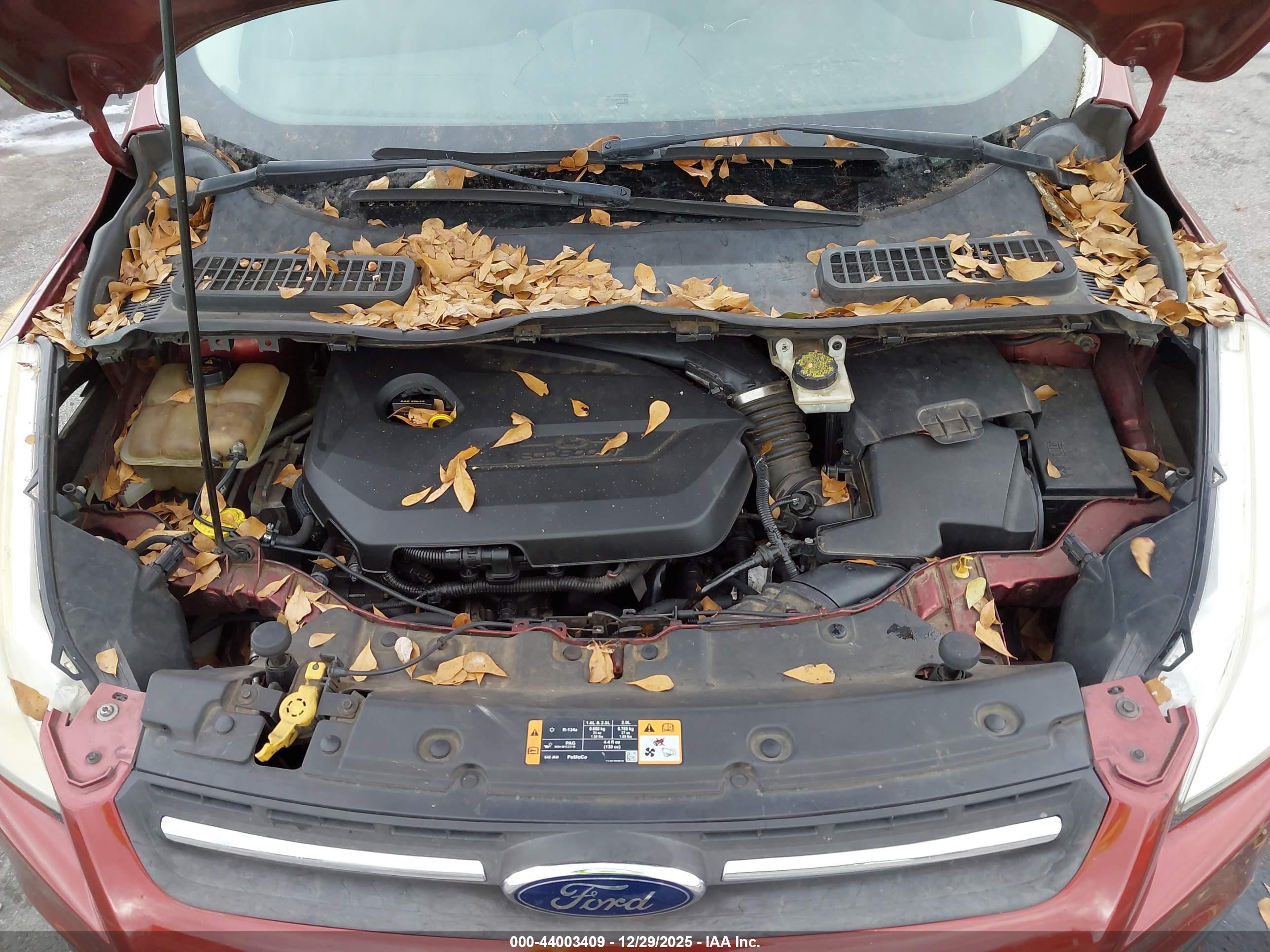 FORD ESCAPE image 10