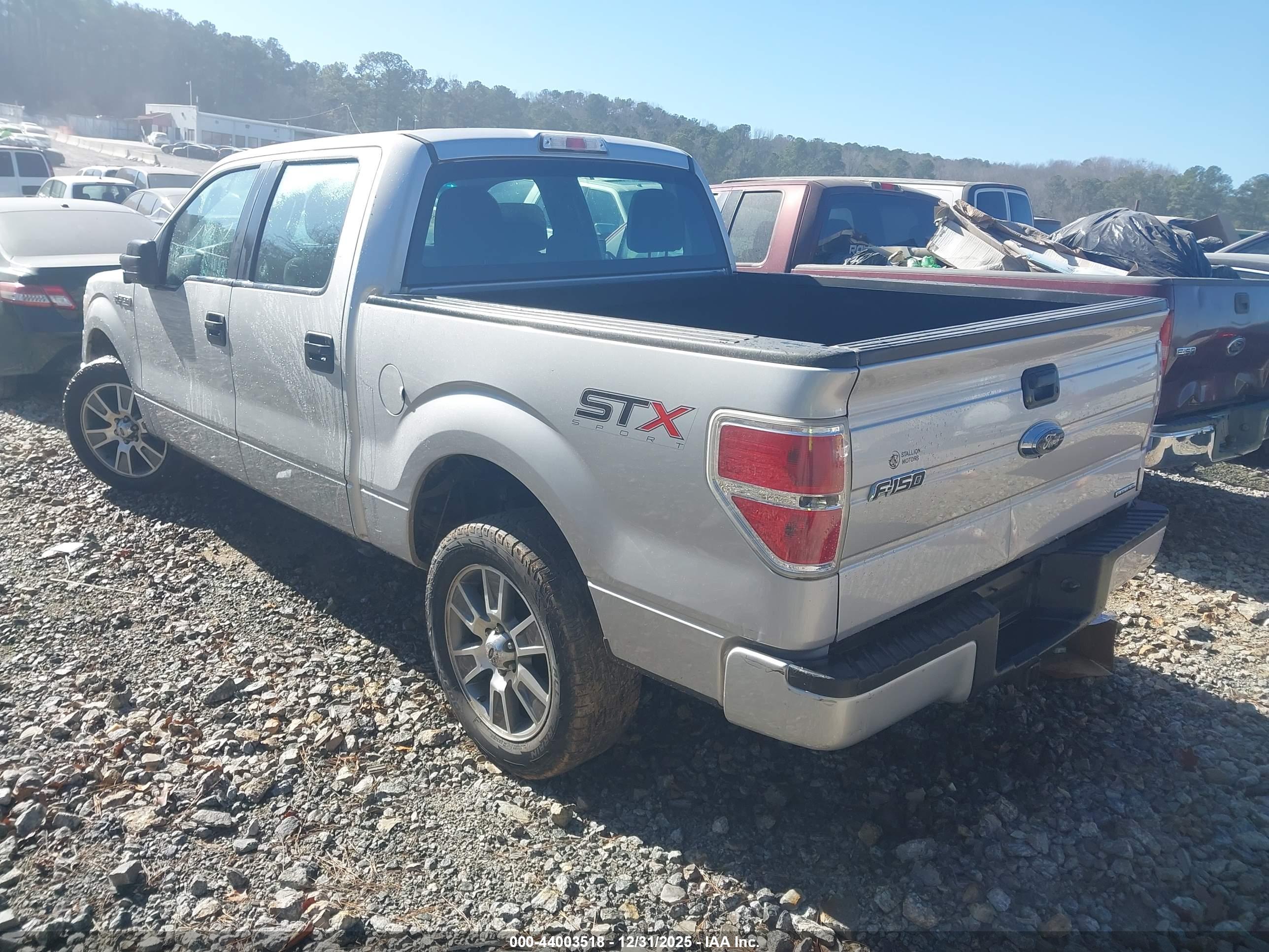 FORD F-150 image 3