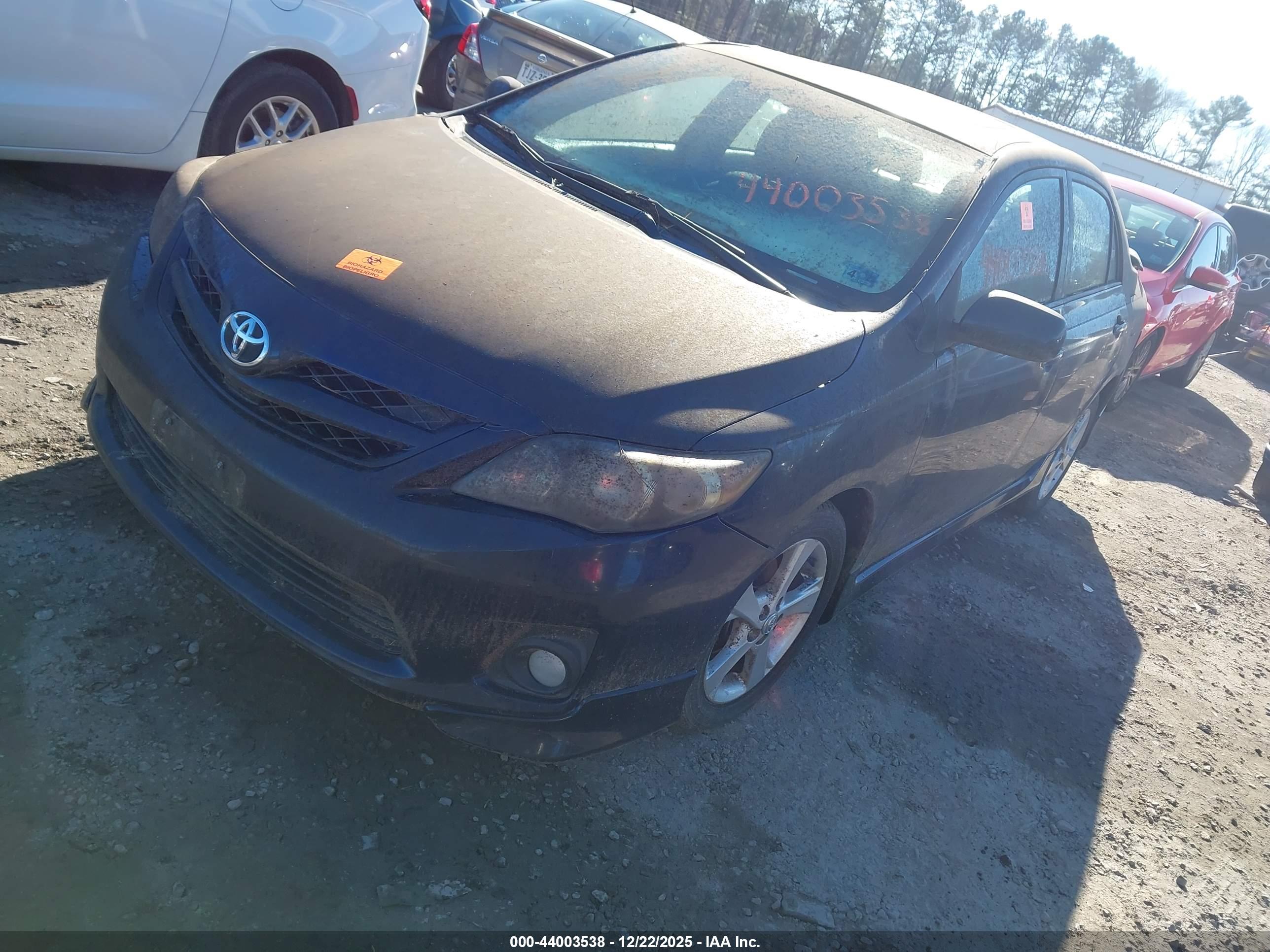 TOYOTA COROLLA image 2