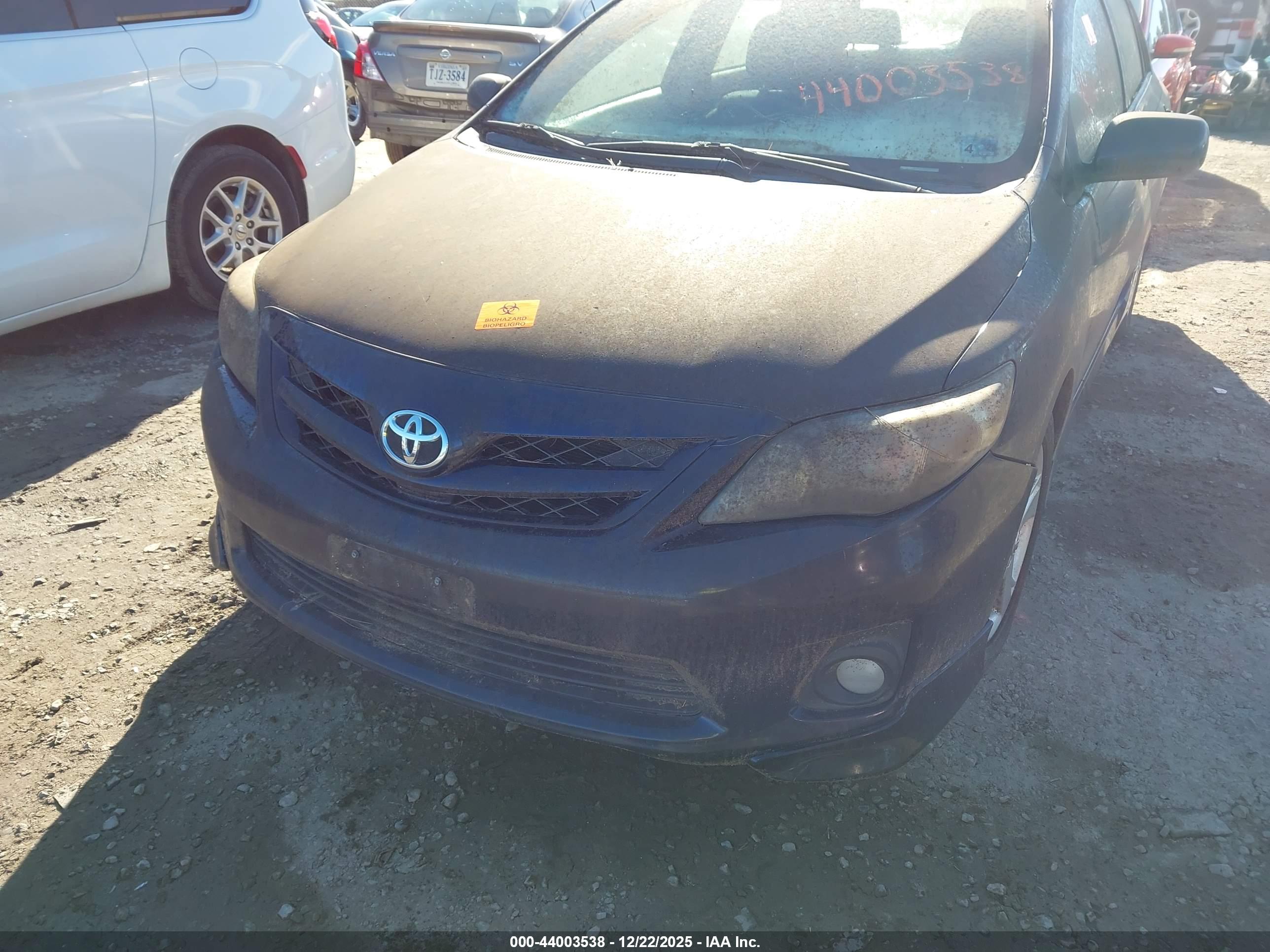 TOYOTA COROLLA image 6