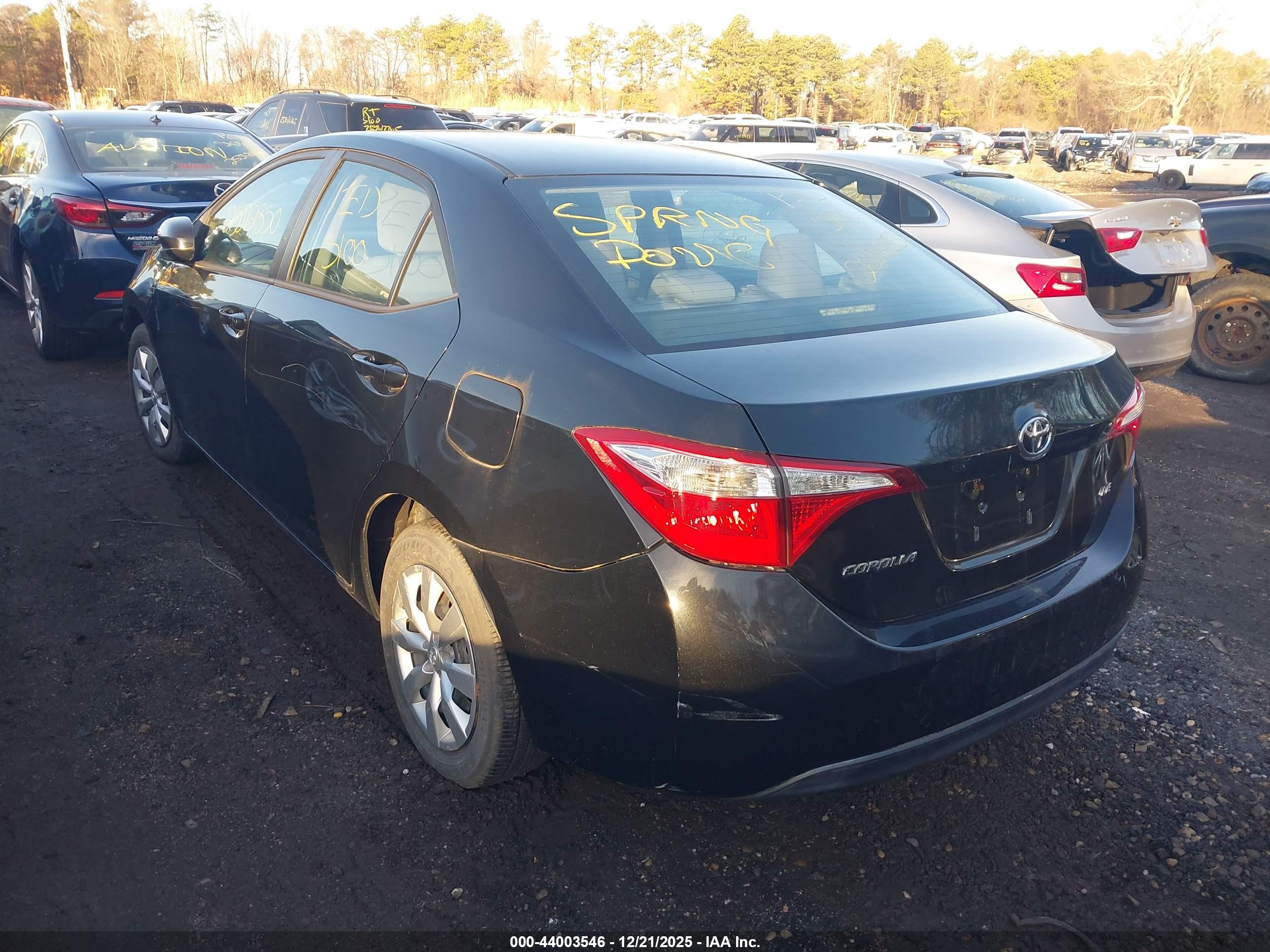 TOYOTA COROLLA image 3