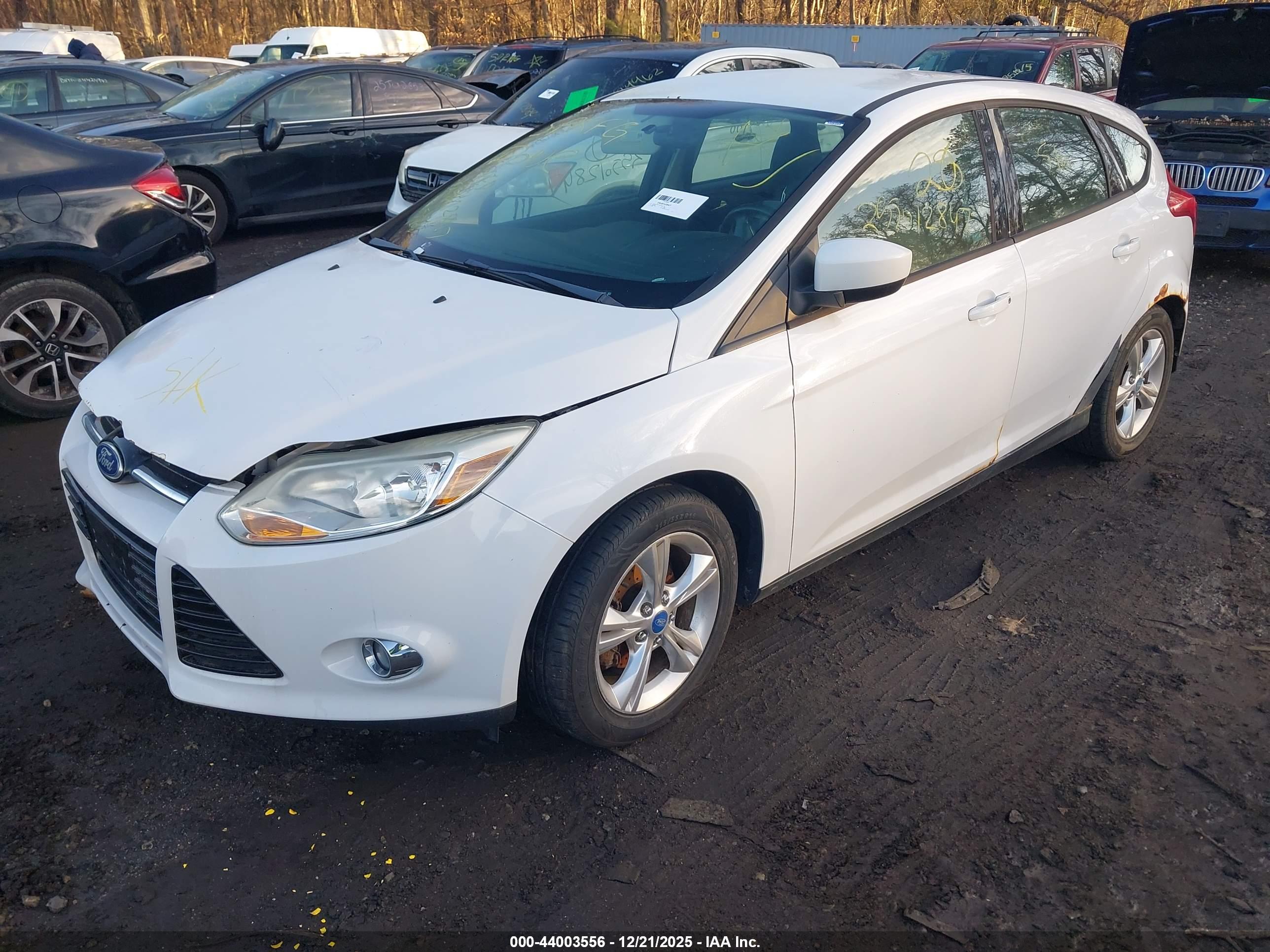 FORD FOCUS image 2