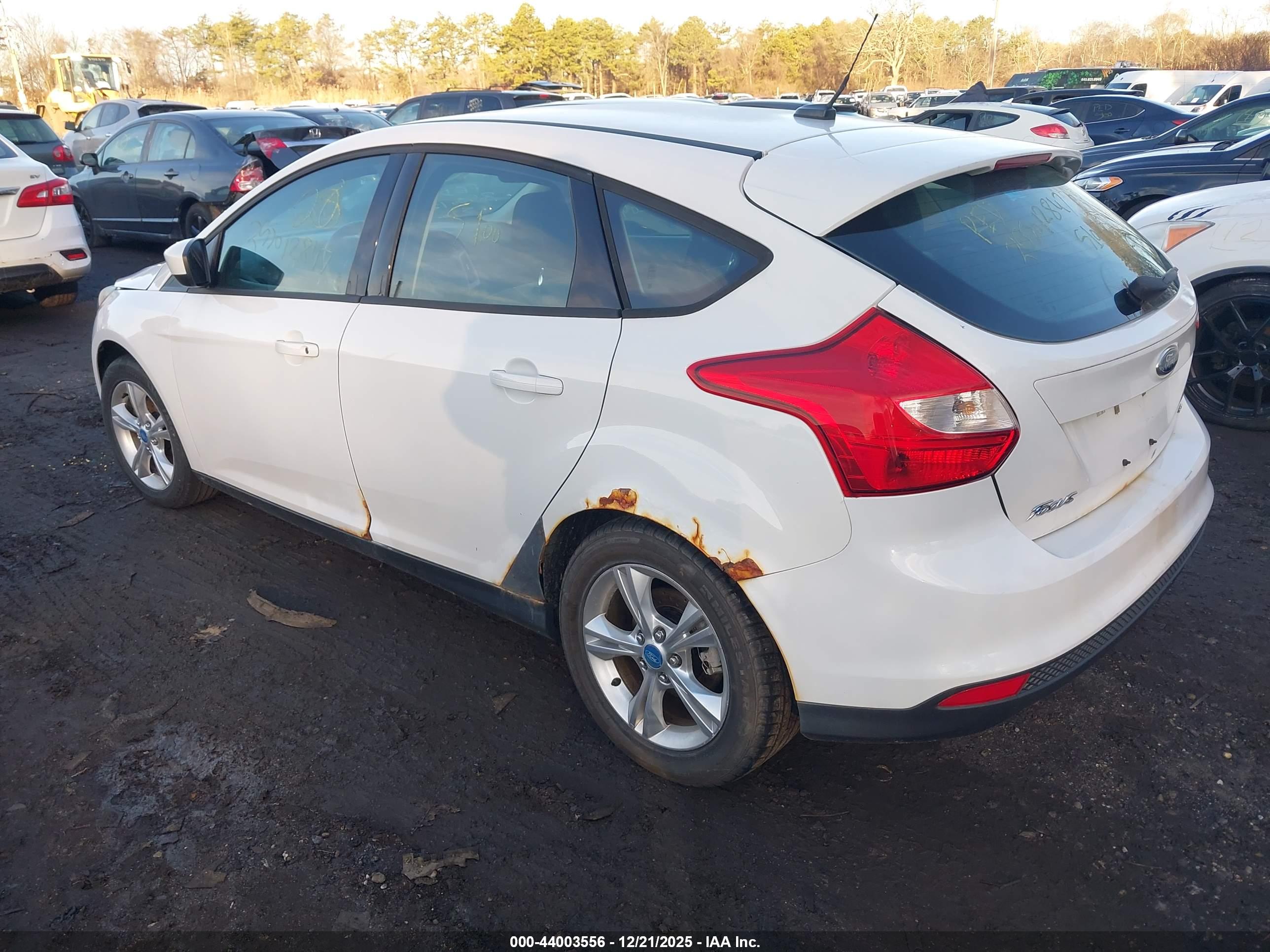 FORD FOCUS image 3