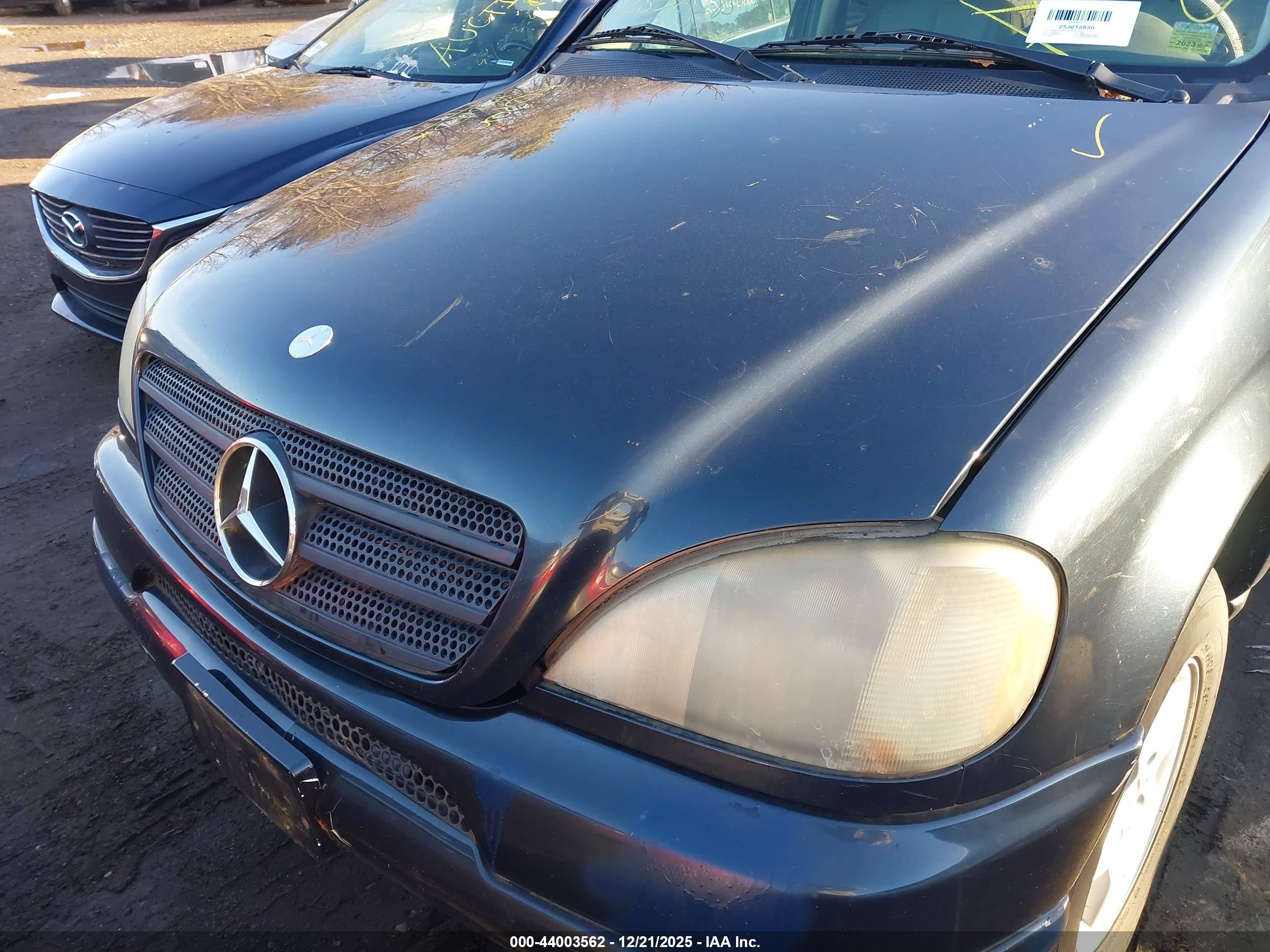 MERCEDES-BENZ ML image 10