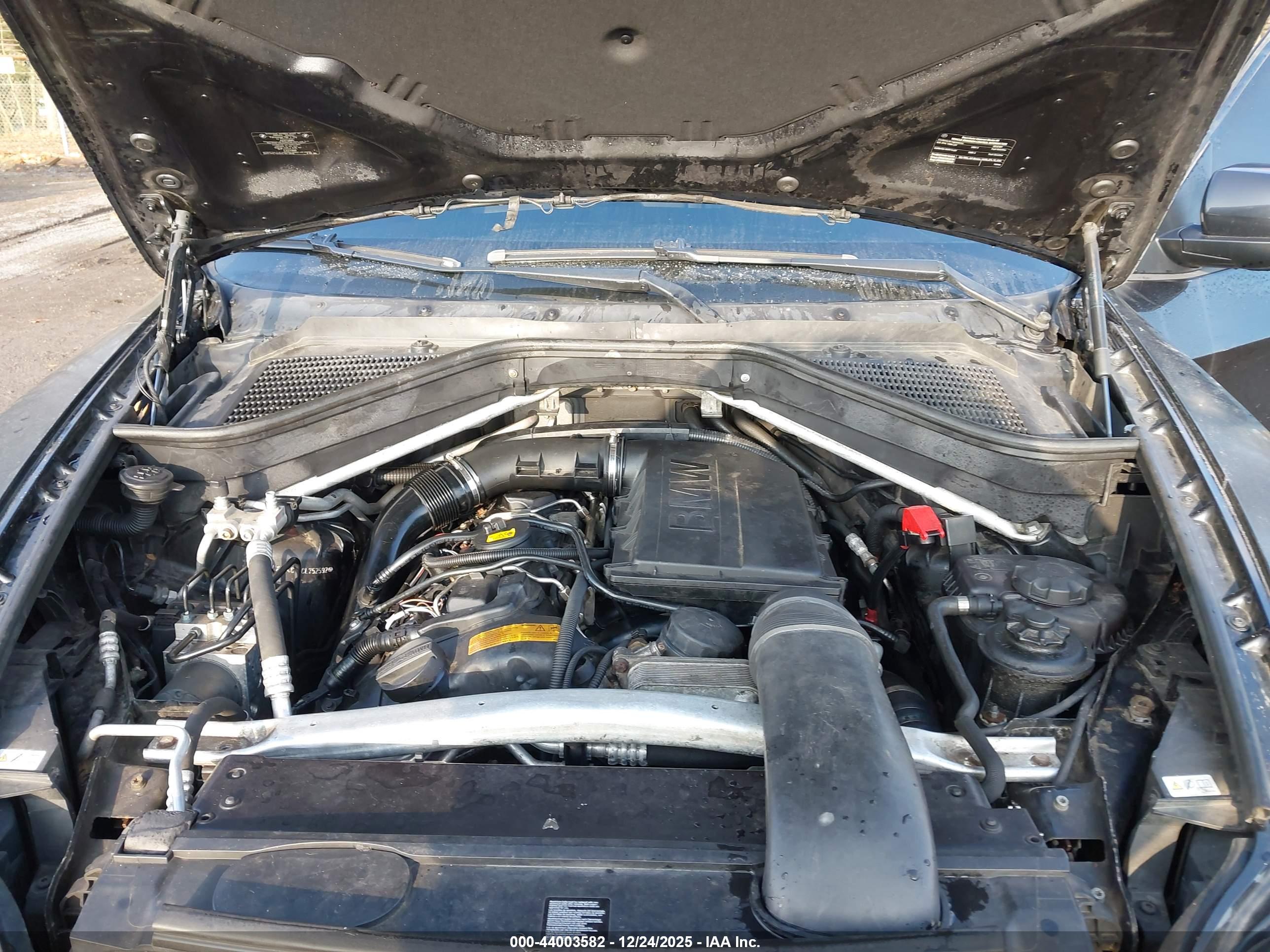 BMW X5 image 10