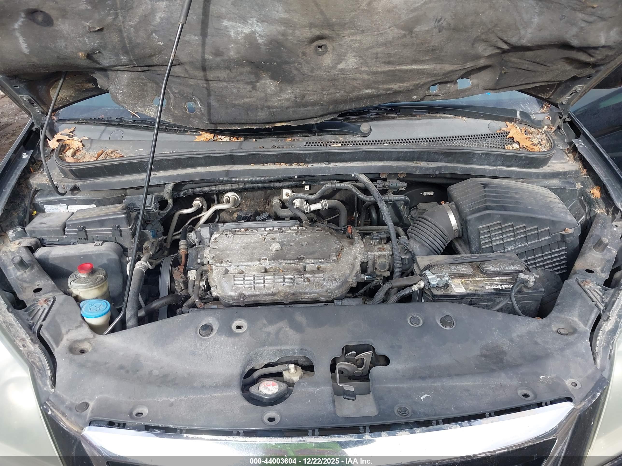 HONDA ODYSSEY image 10