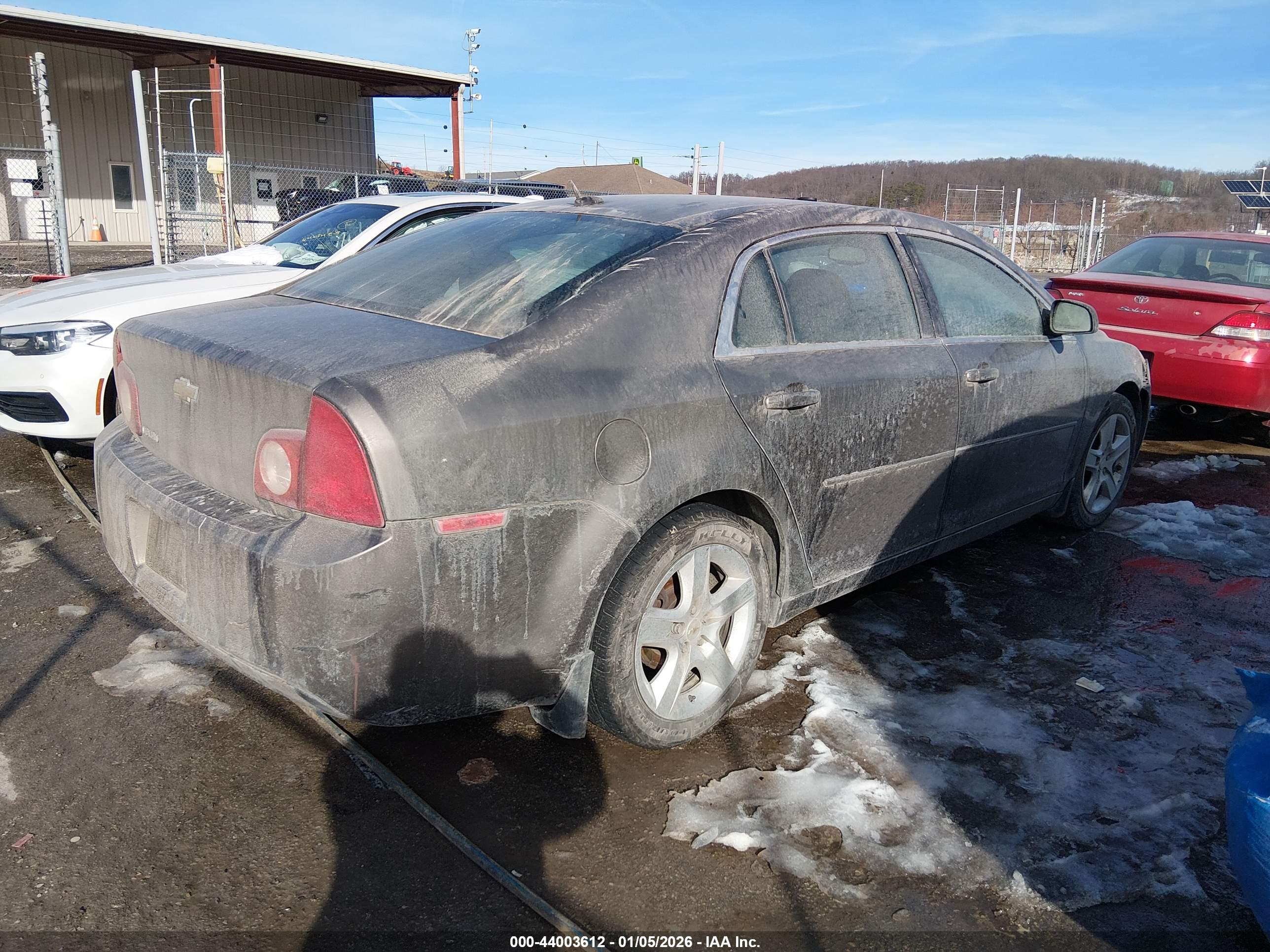 CHEVROLET MALIBU image 4