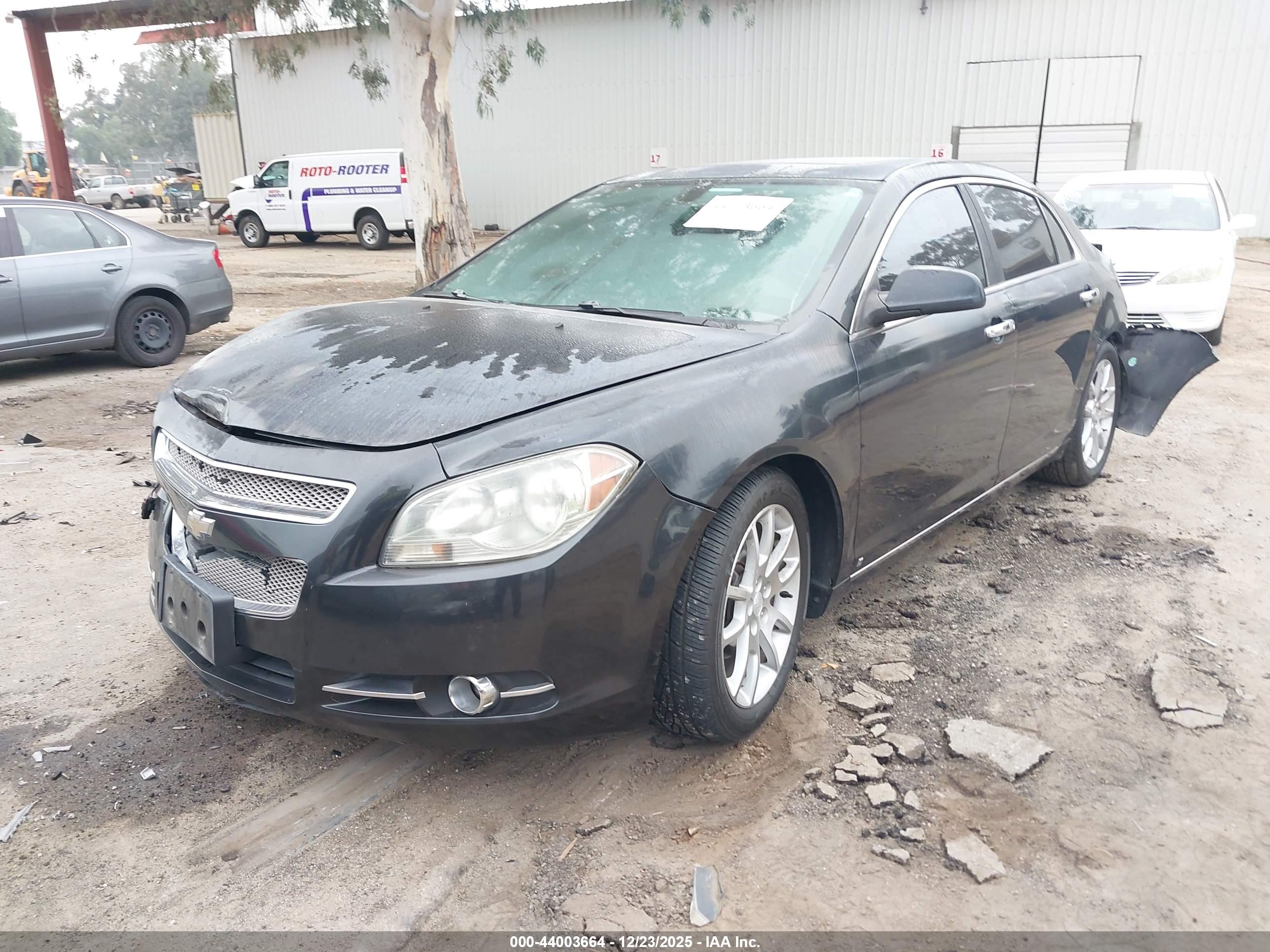 CHEVROLET MALIBU image 2