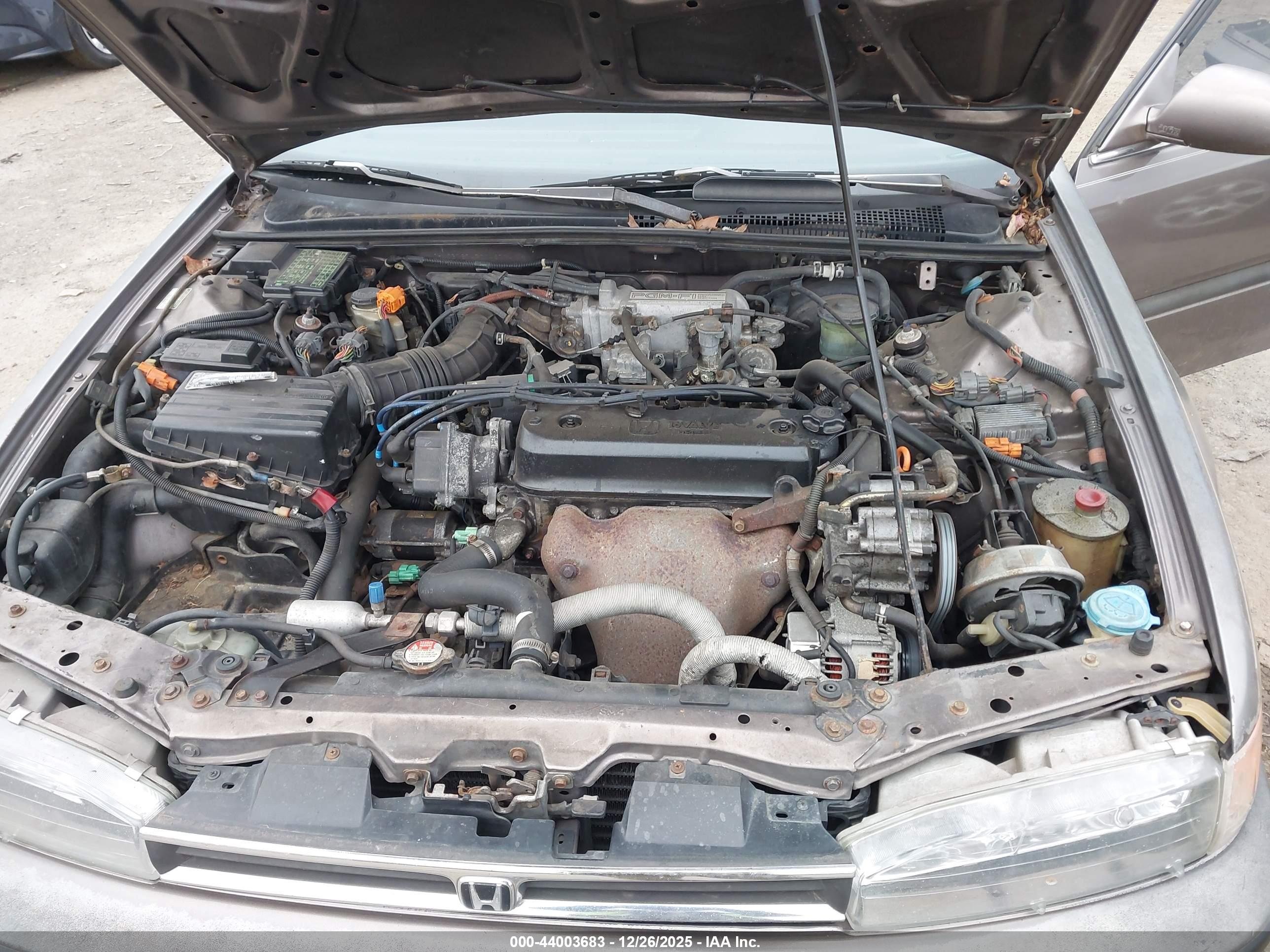 HONDA ACCORD image 10