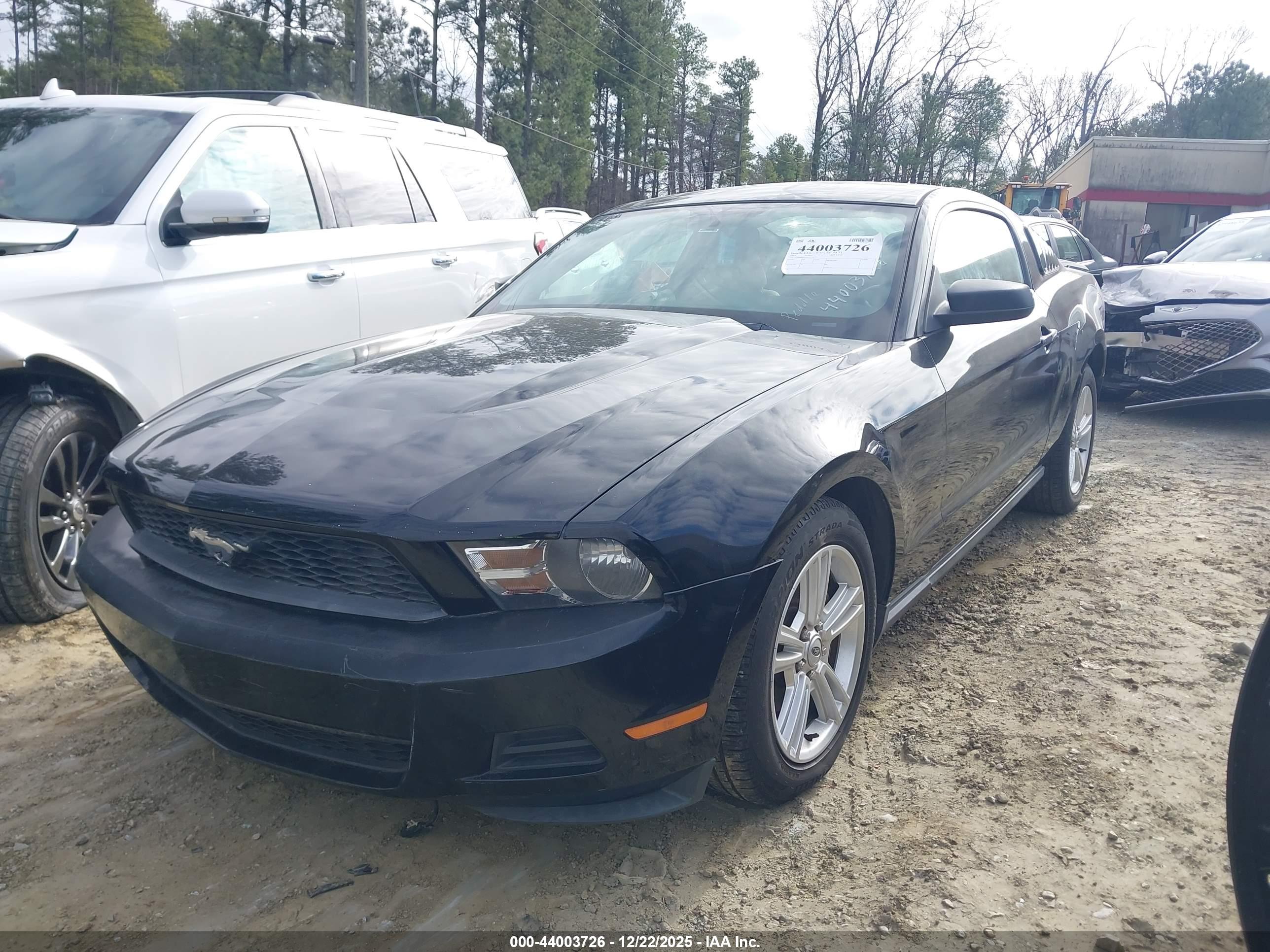 FORD MUSTANG image 2