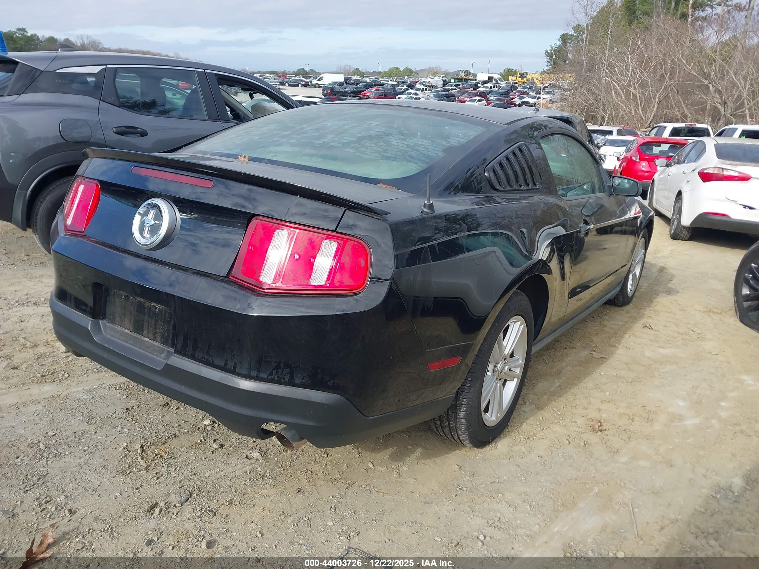 FORD MUSTANG image 4