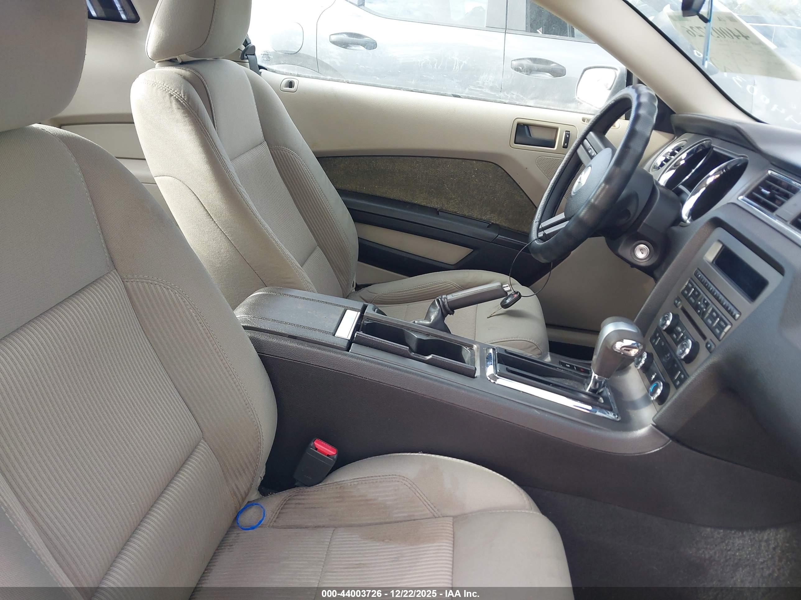 FORD MUSTANG image 5