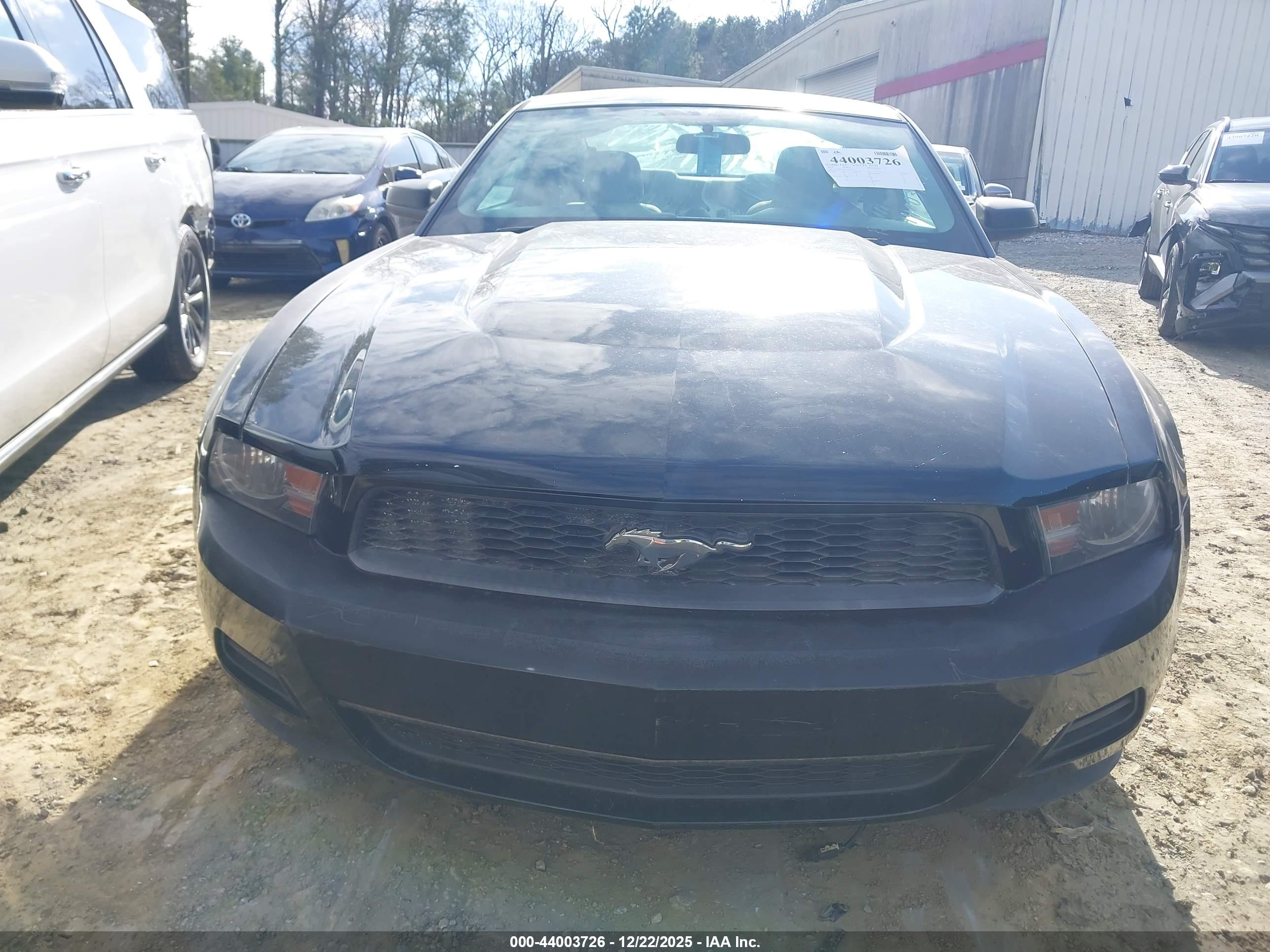FORD MUSTANG image 6