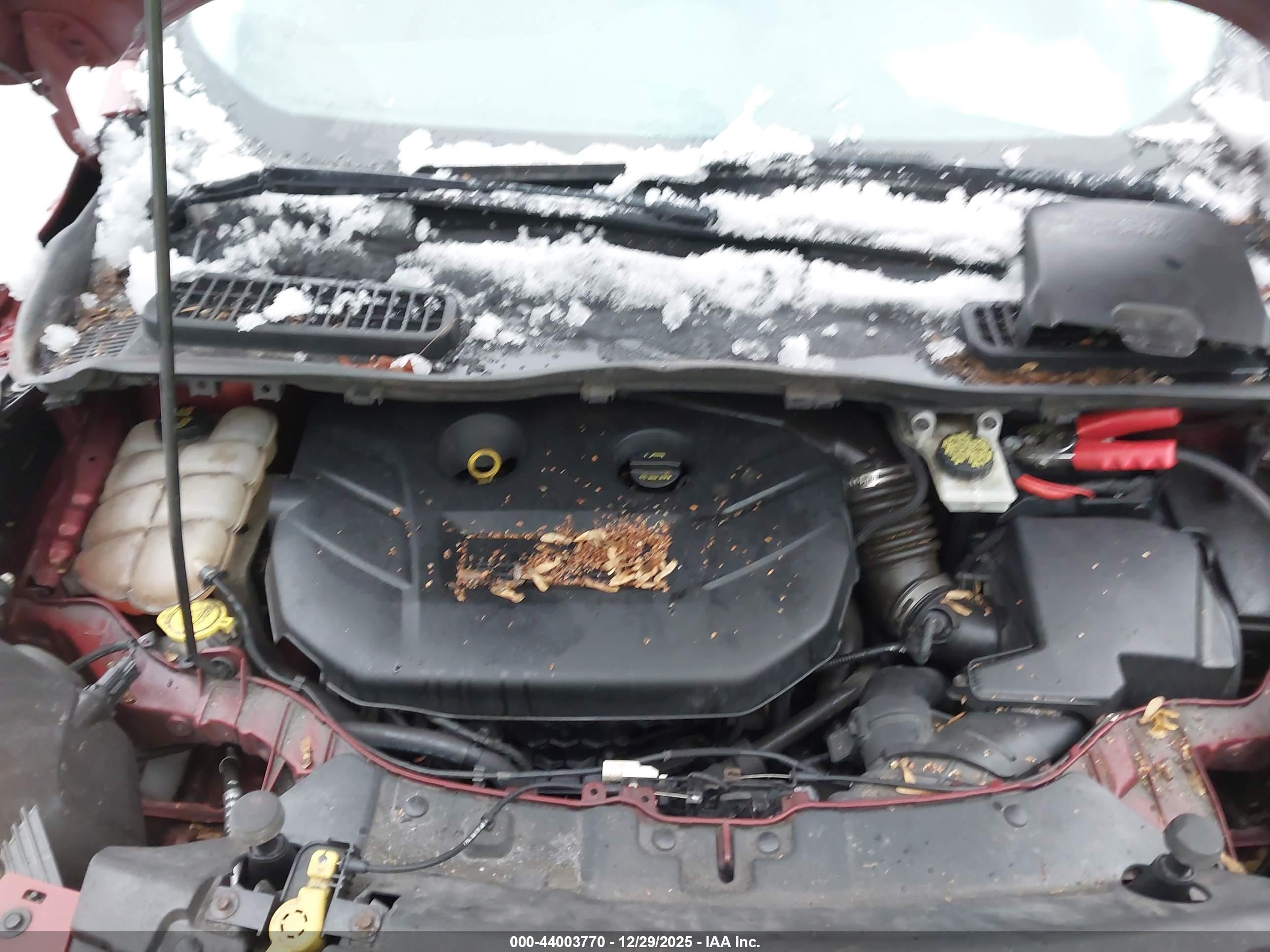 FORD ESCAPE image 10