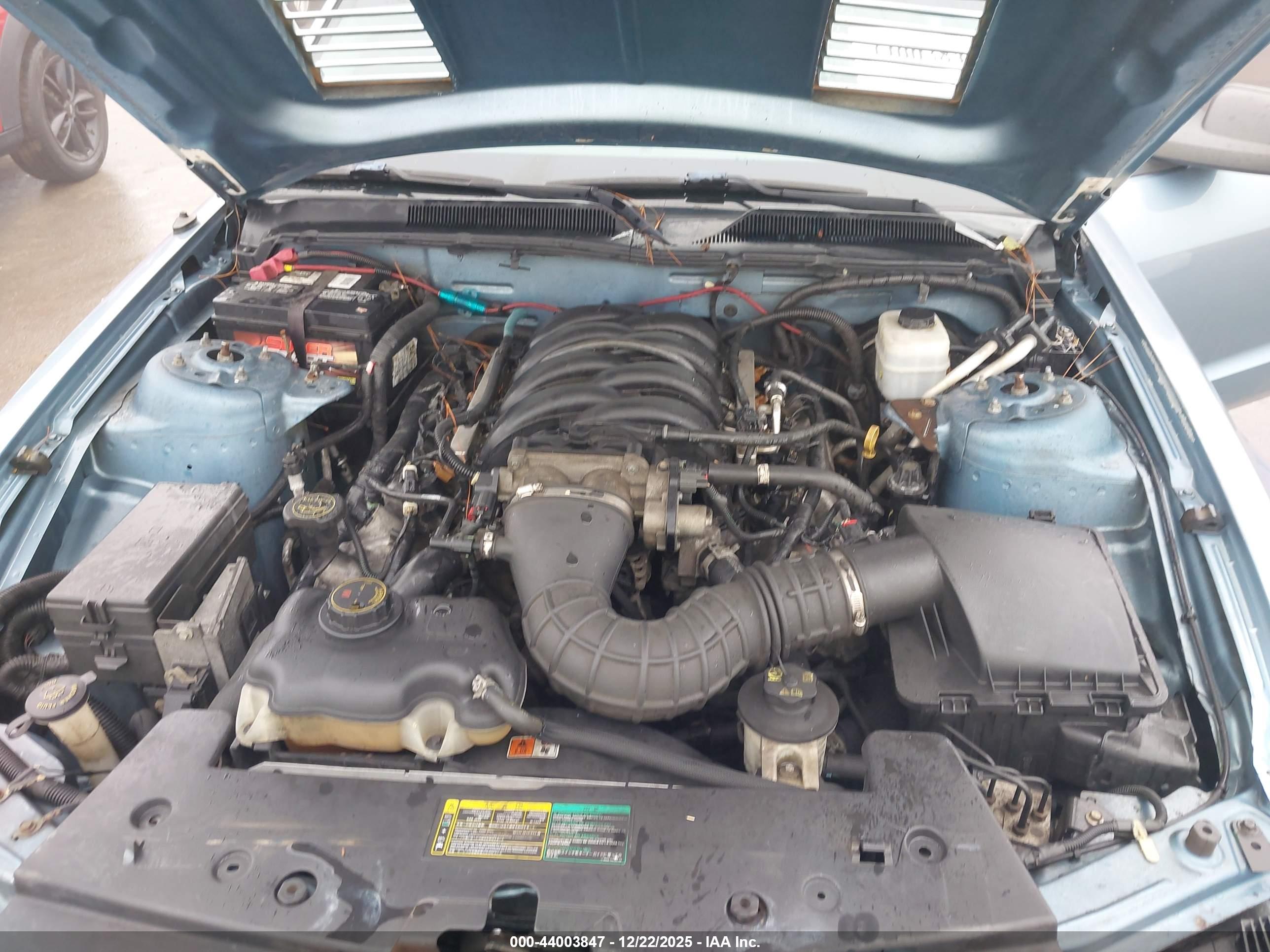 FORD MUSTANG image 10